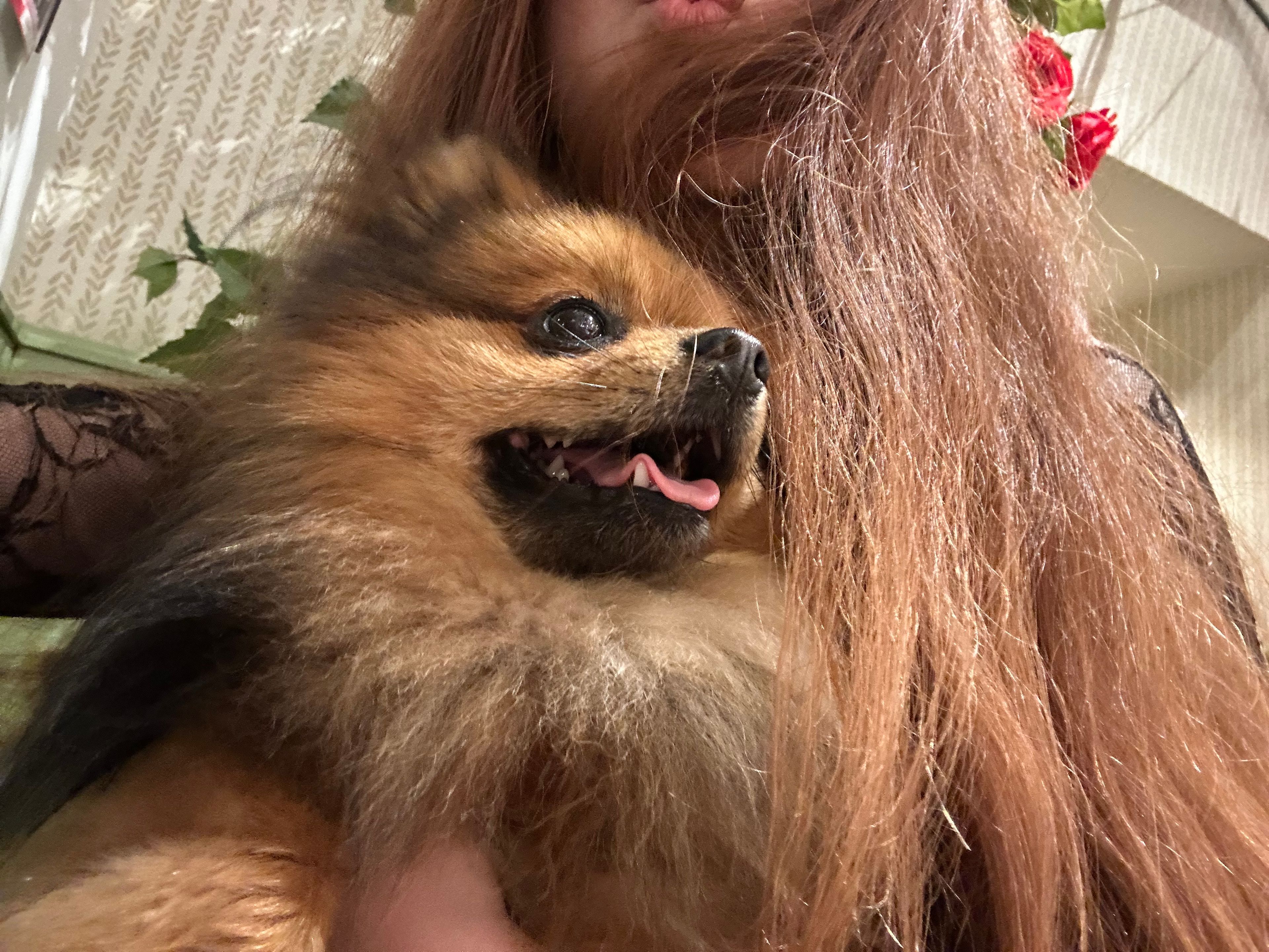 image-6