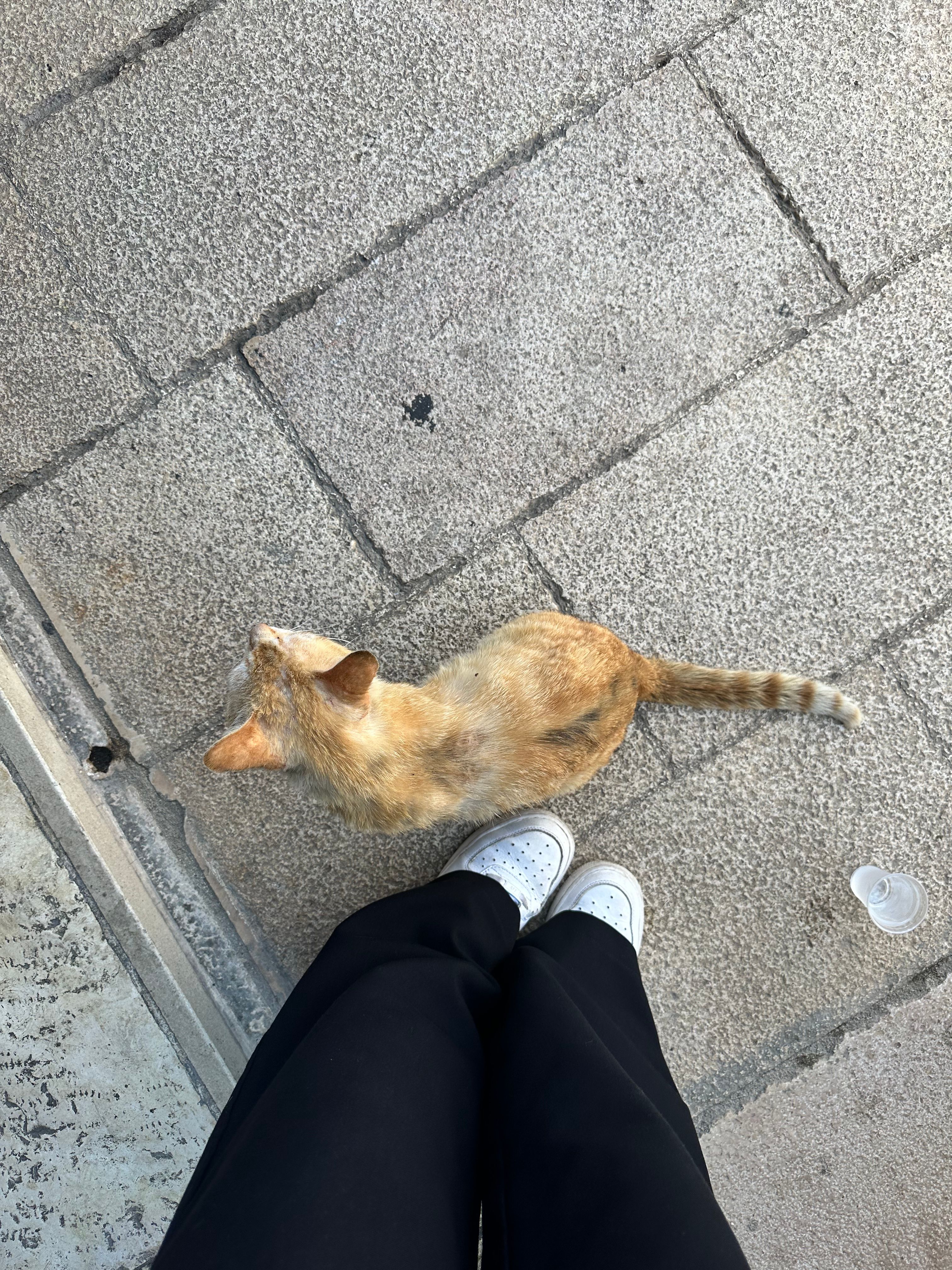 image-7