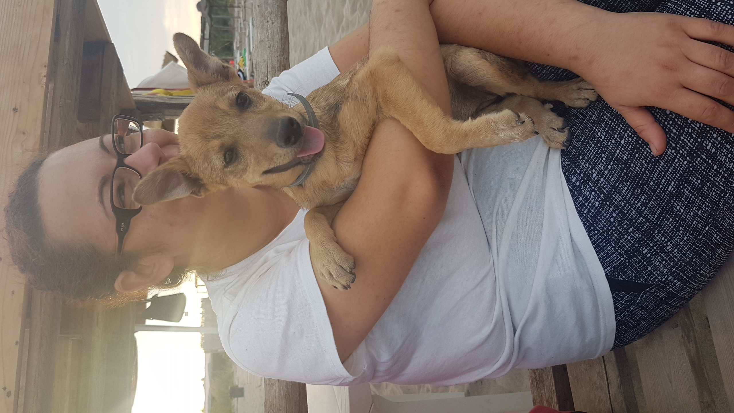 image-7