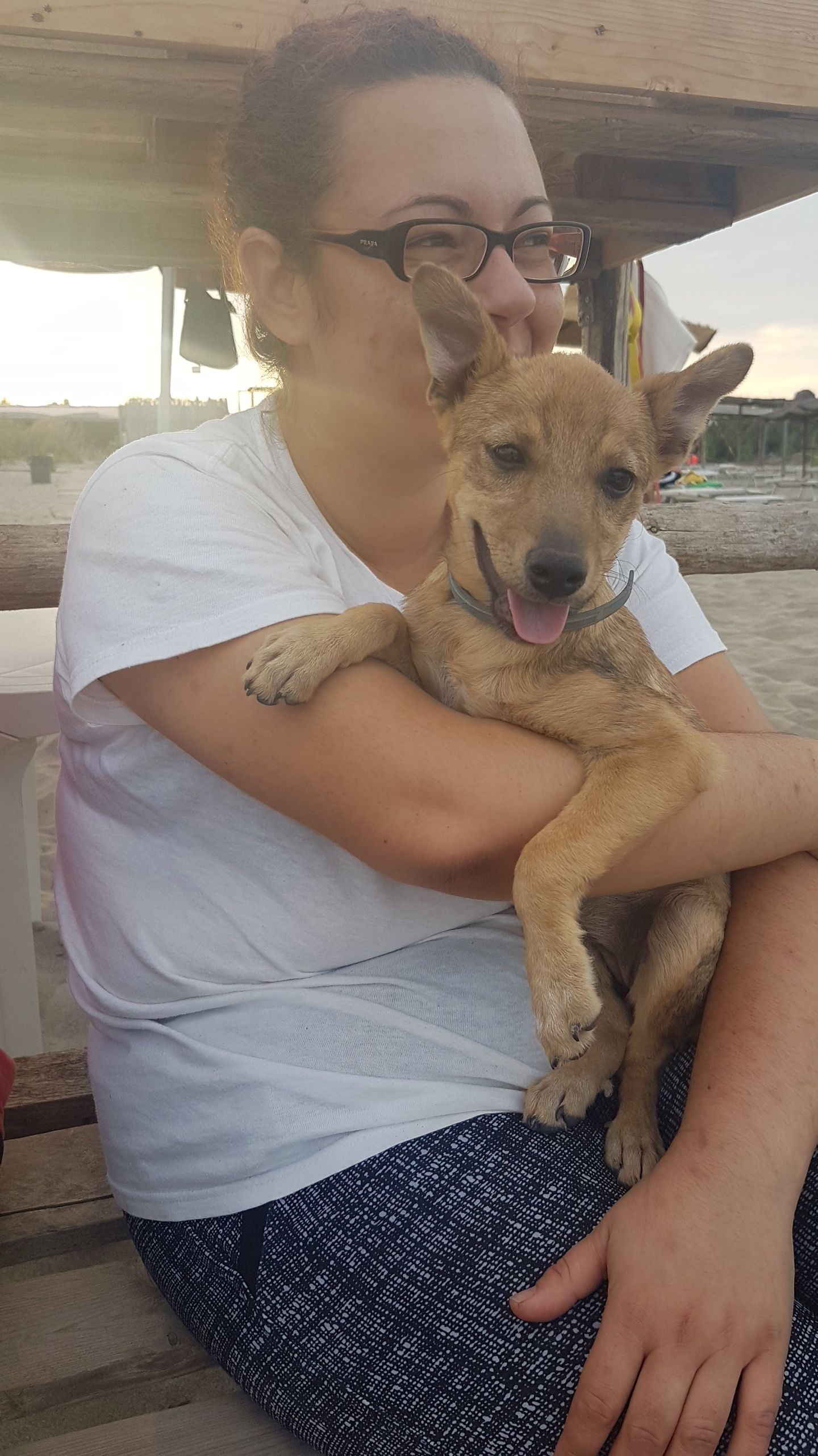 image-7