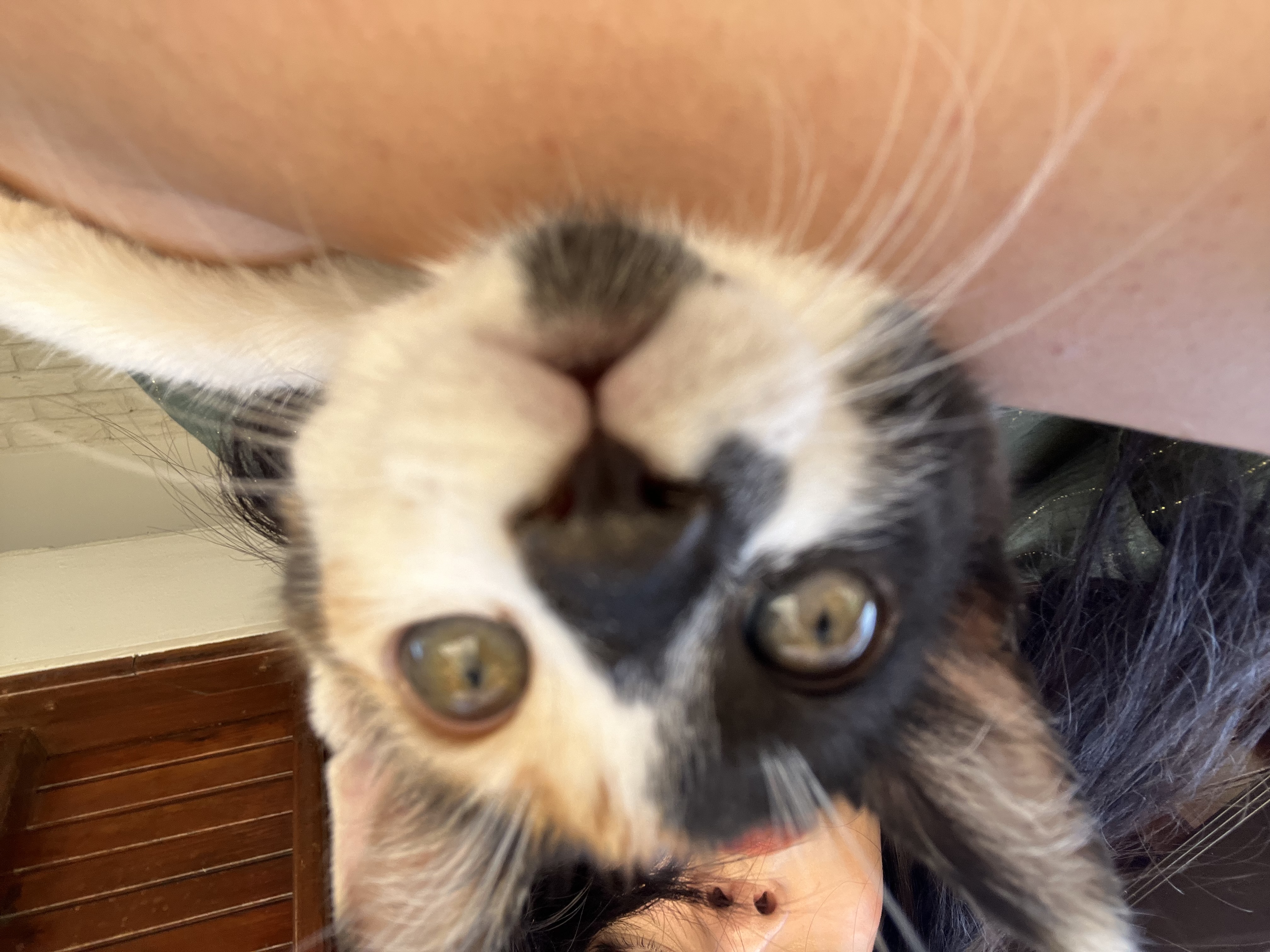 image-6
