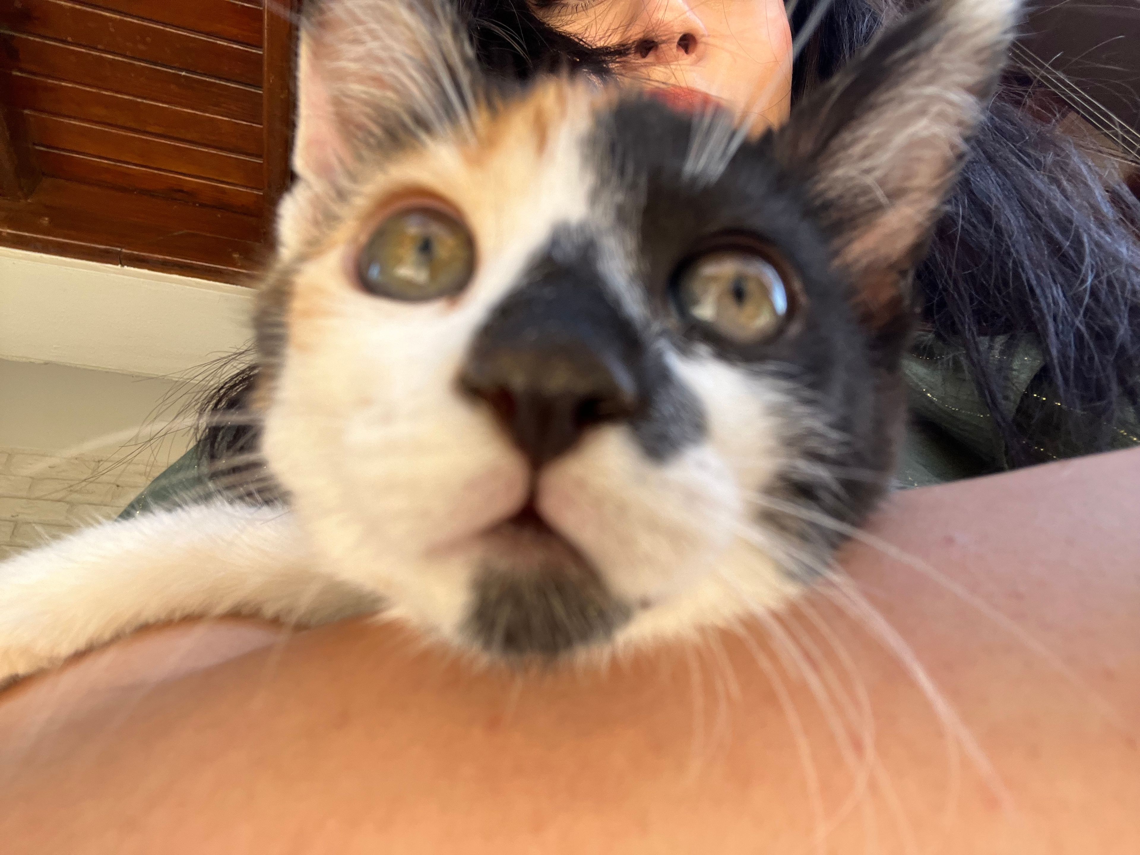 image-6