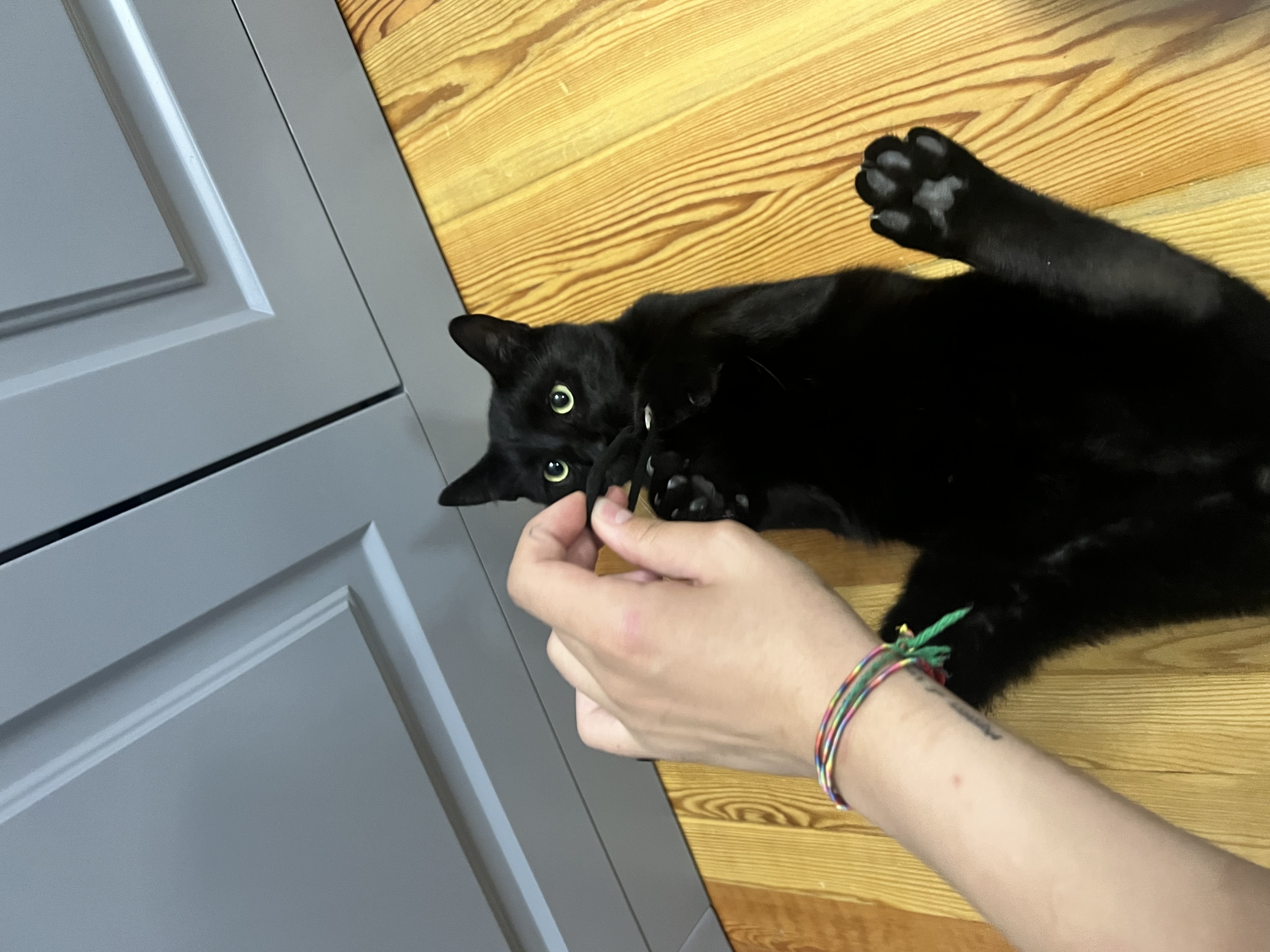 image-9