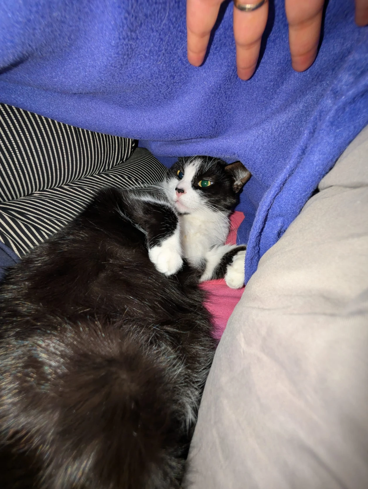 image-6