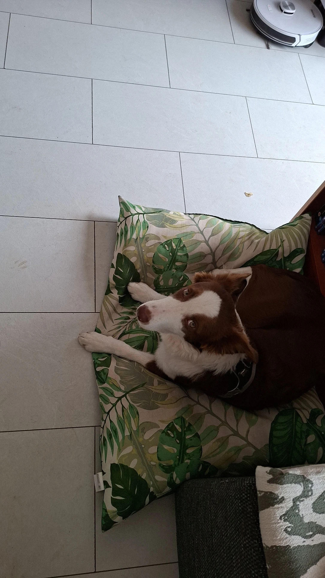 image-5