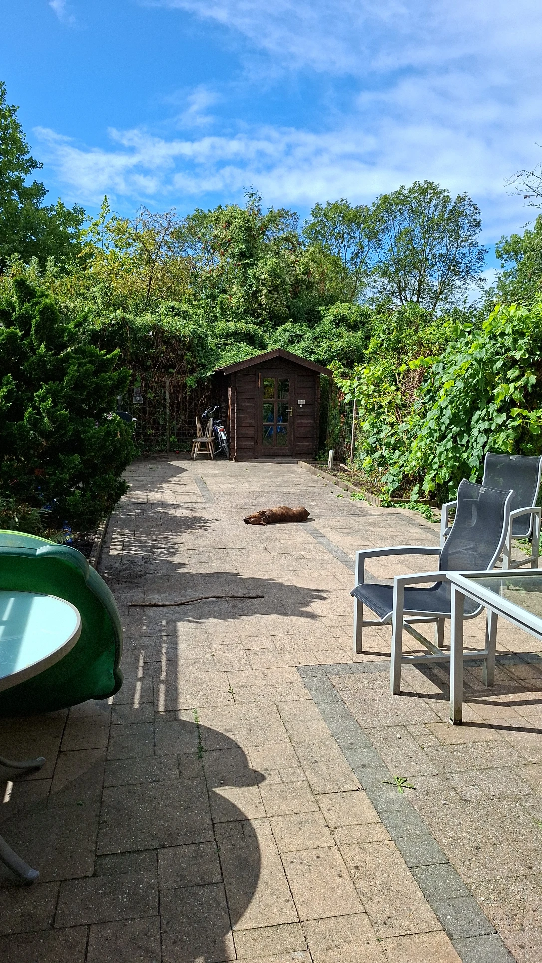 image-8