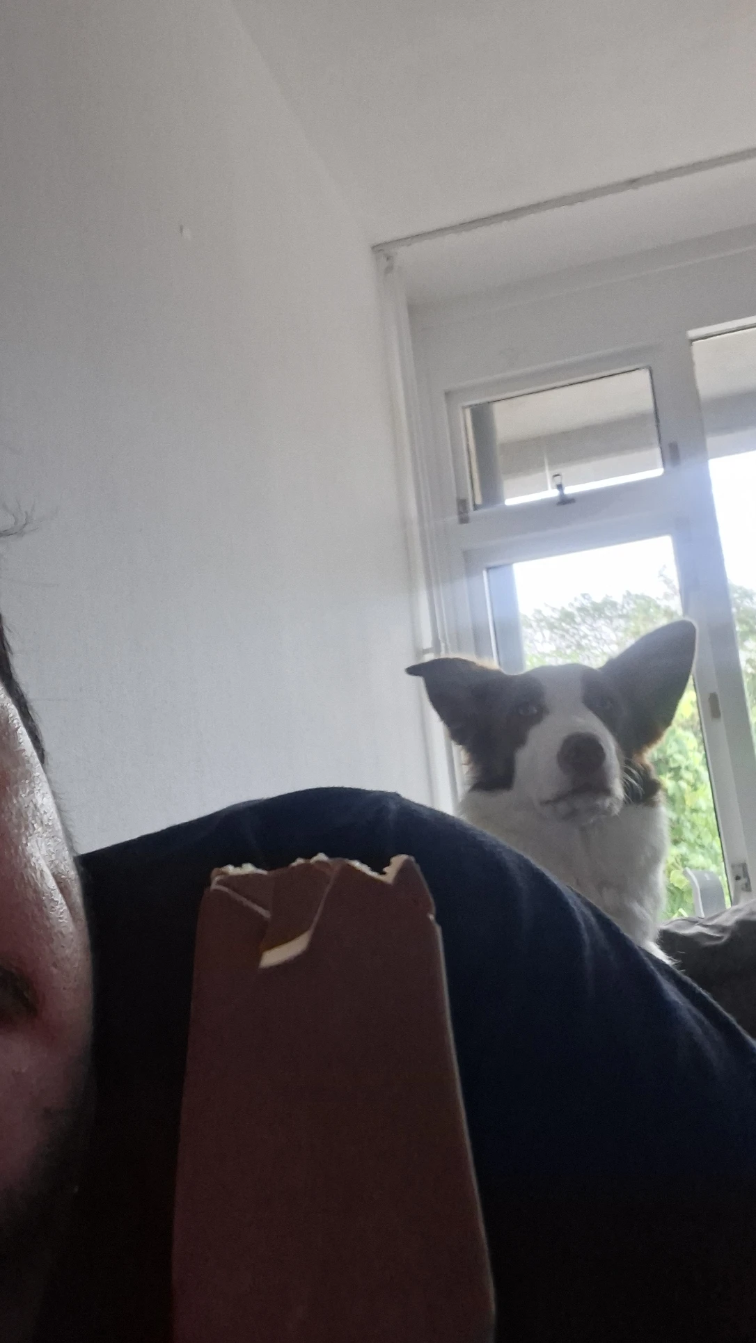 image-7