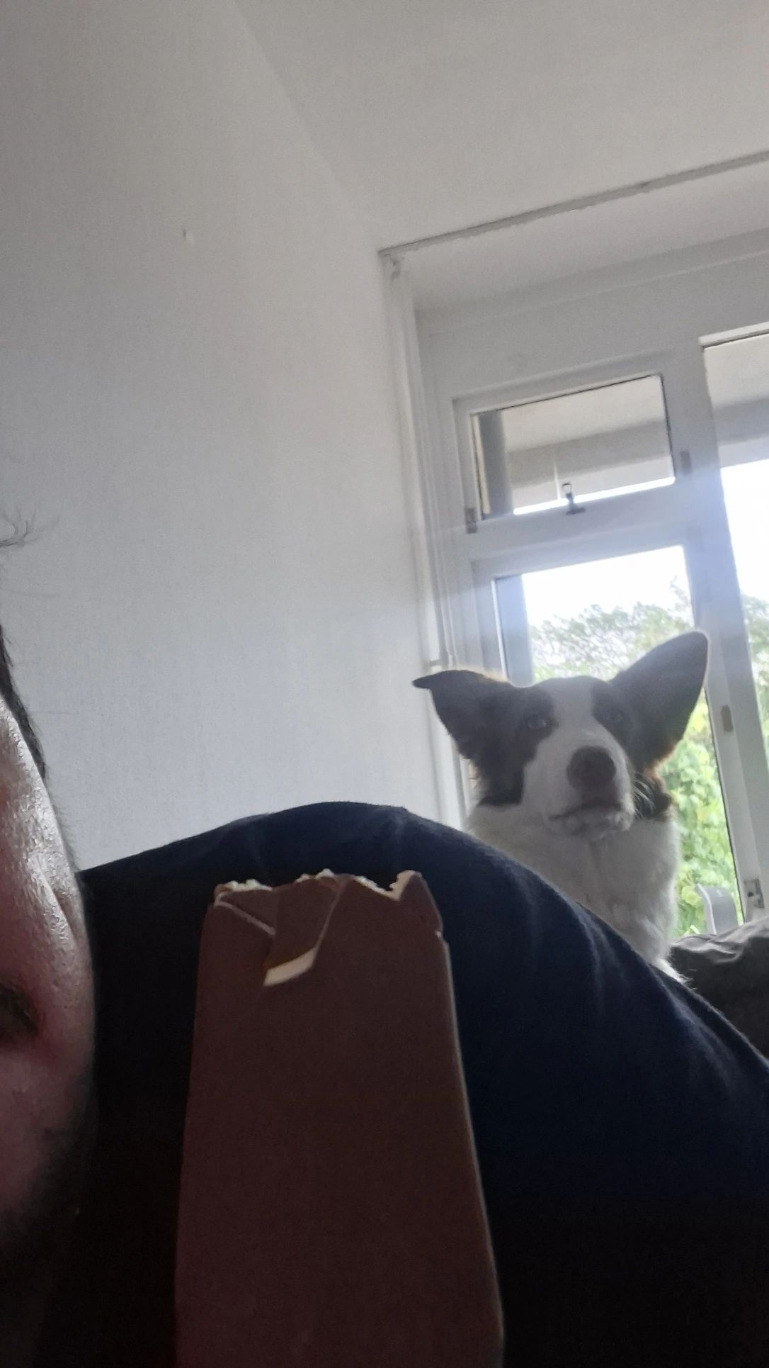 image-7
