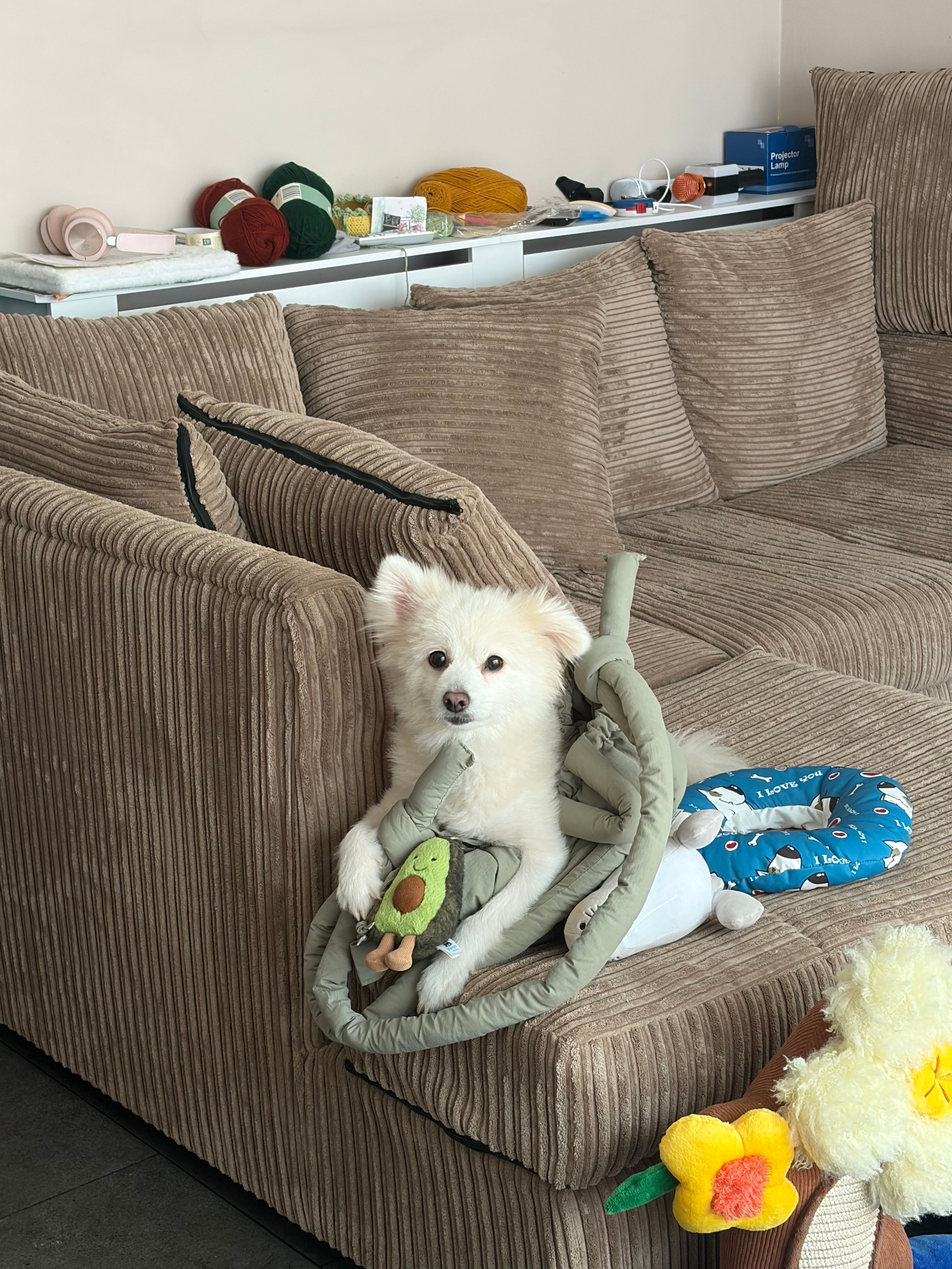 image-5
