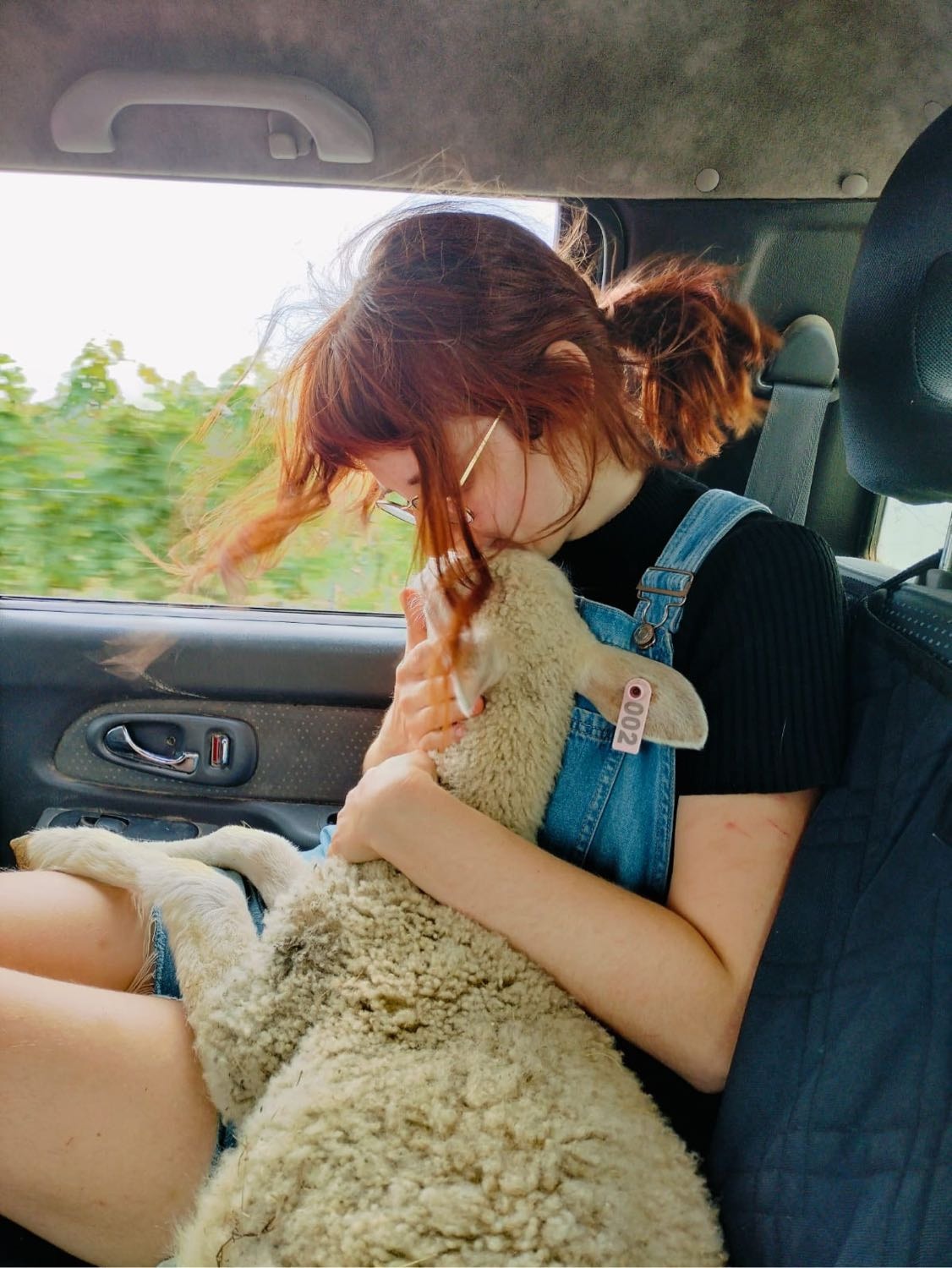 image-5