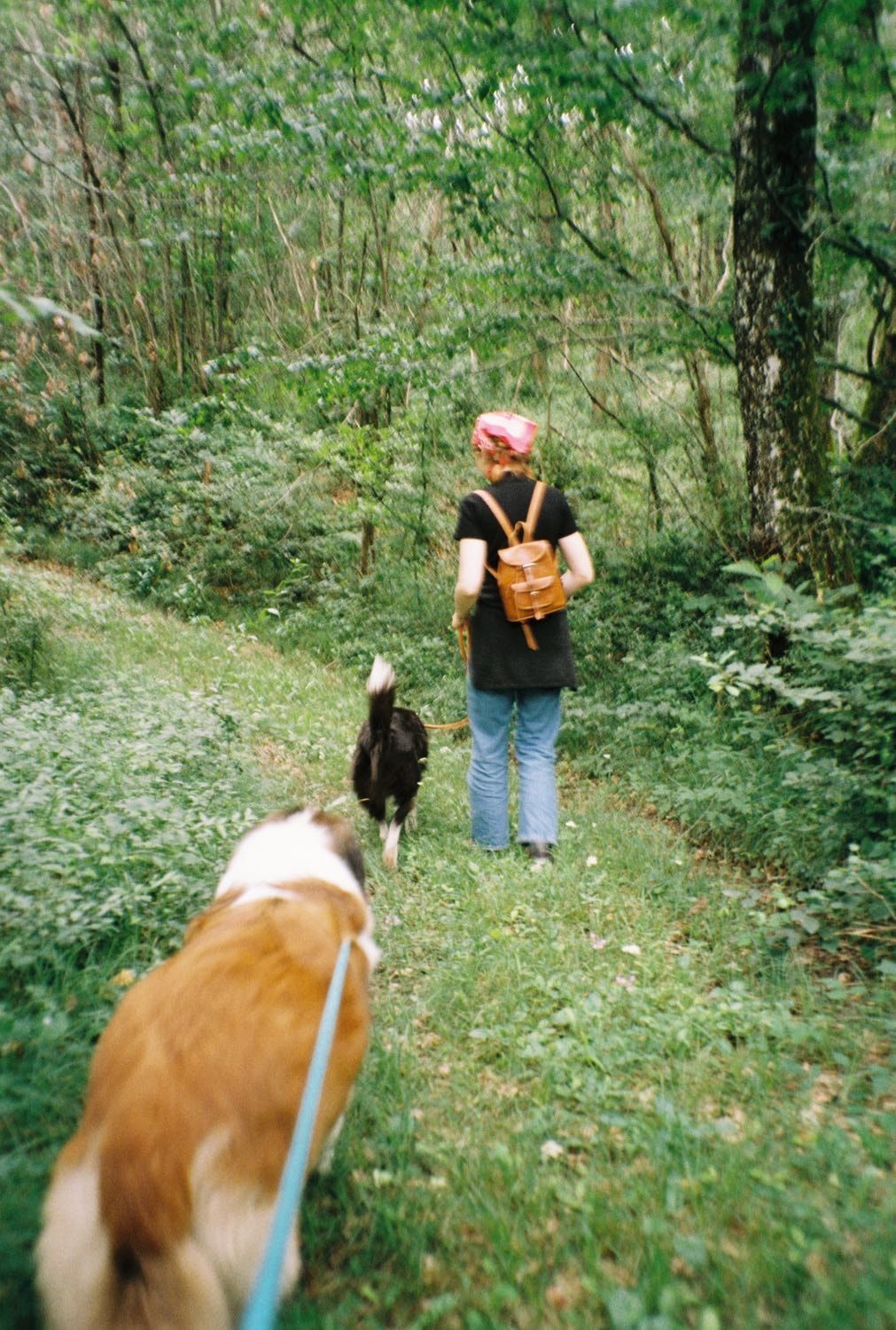 image-0