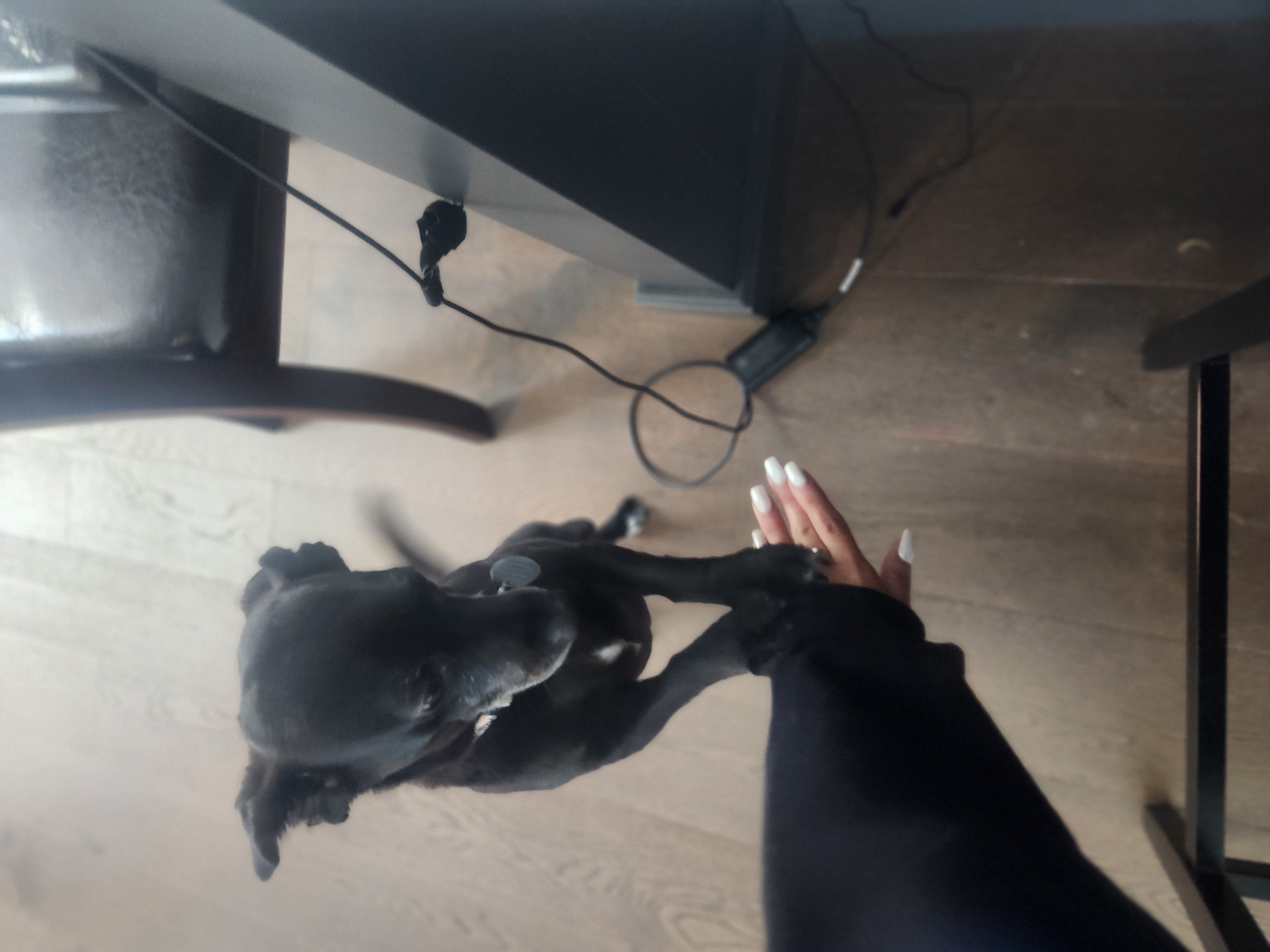 image-5