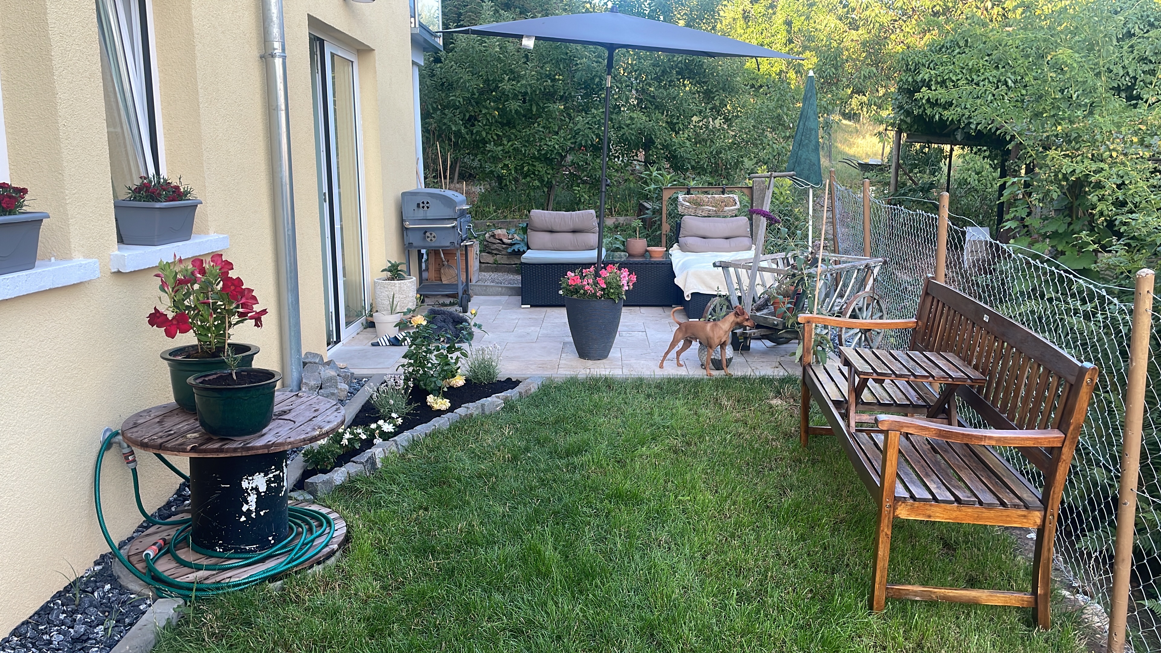 image-19