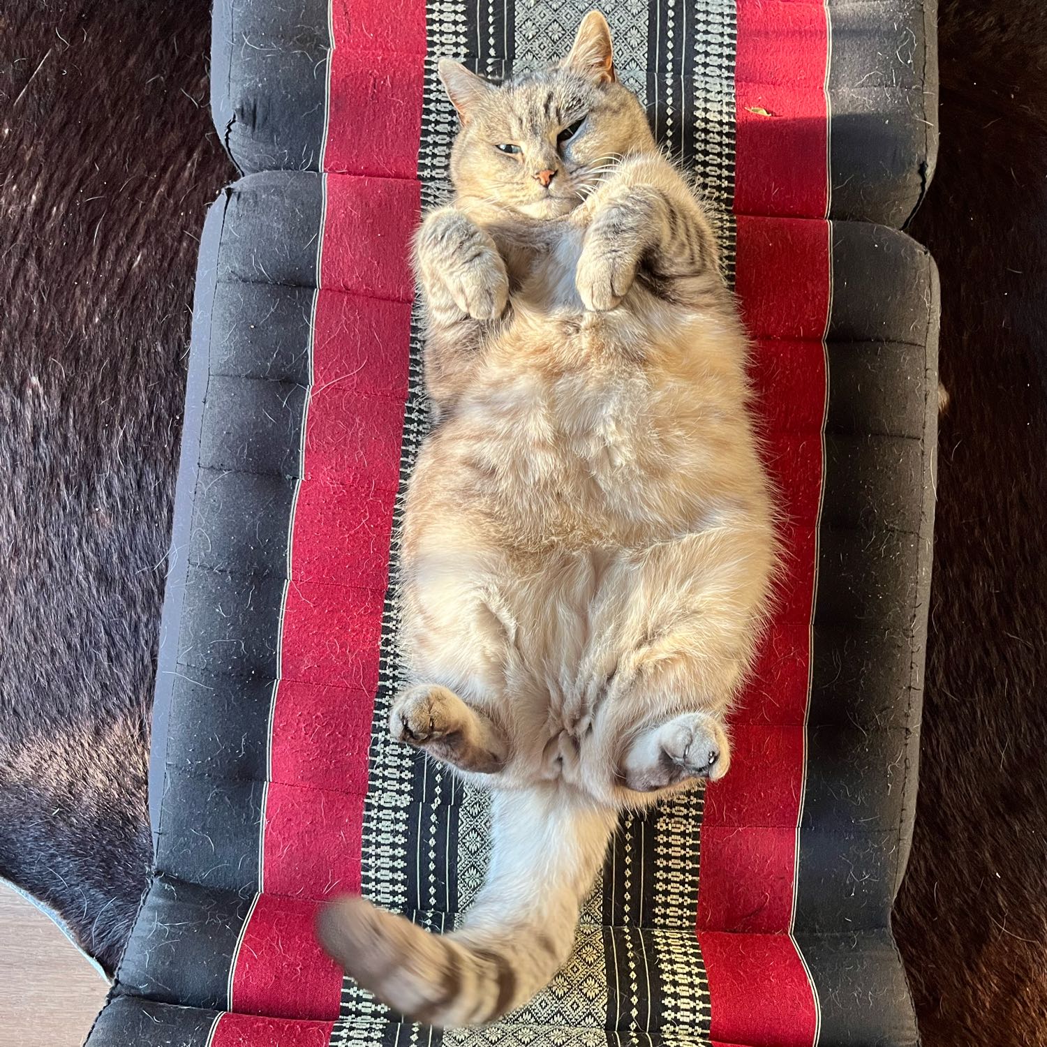 Mr.Kimchi