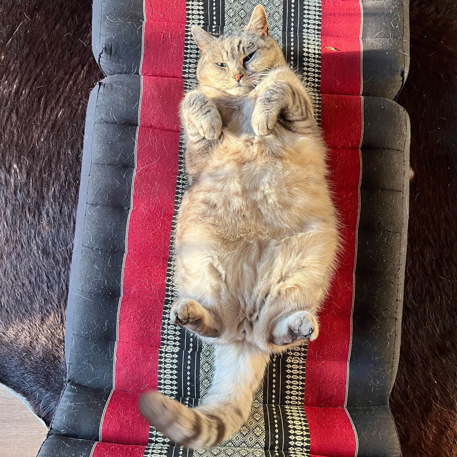 Mr.Kimchi