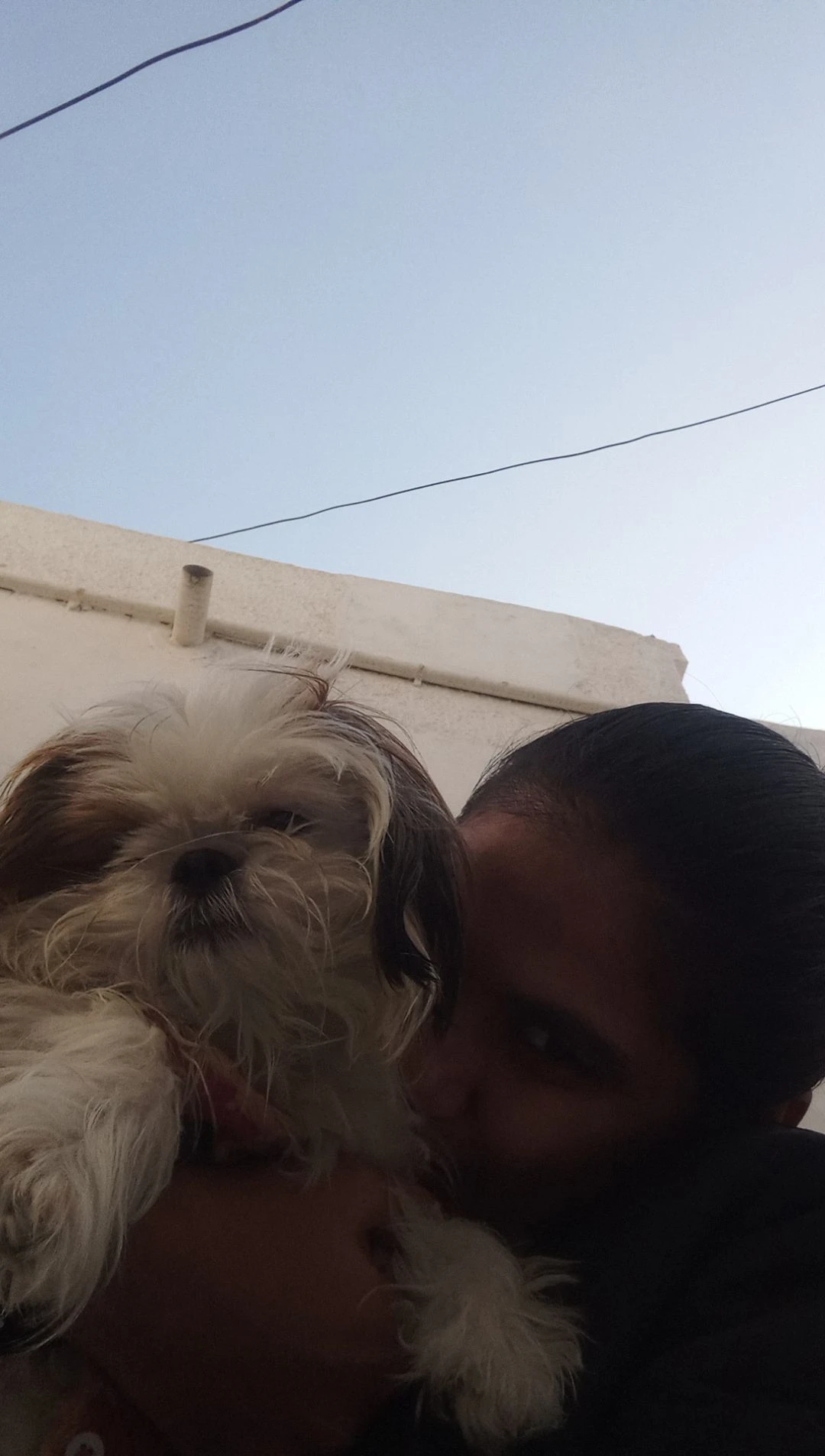 image-7