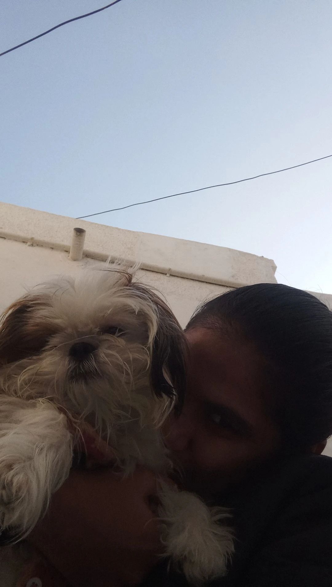 image-7