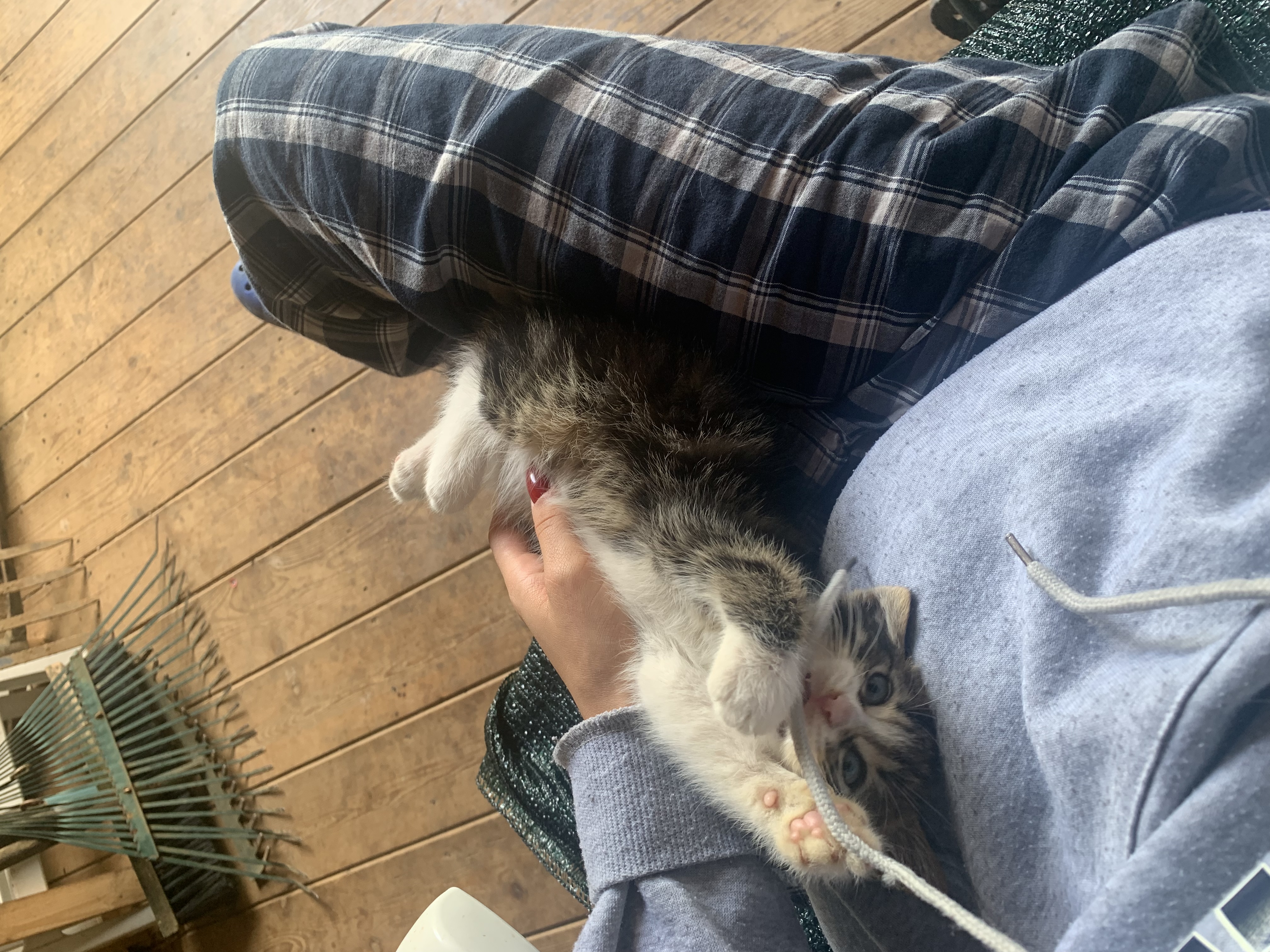 image-6