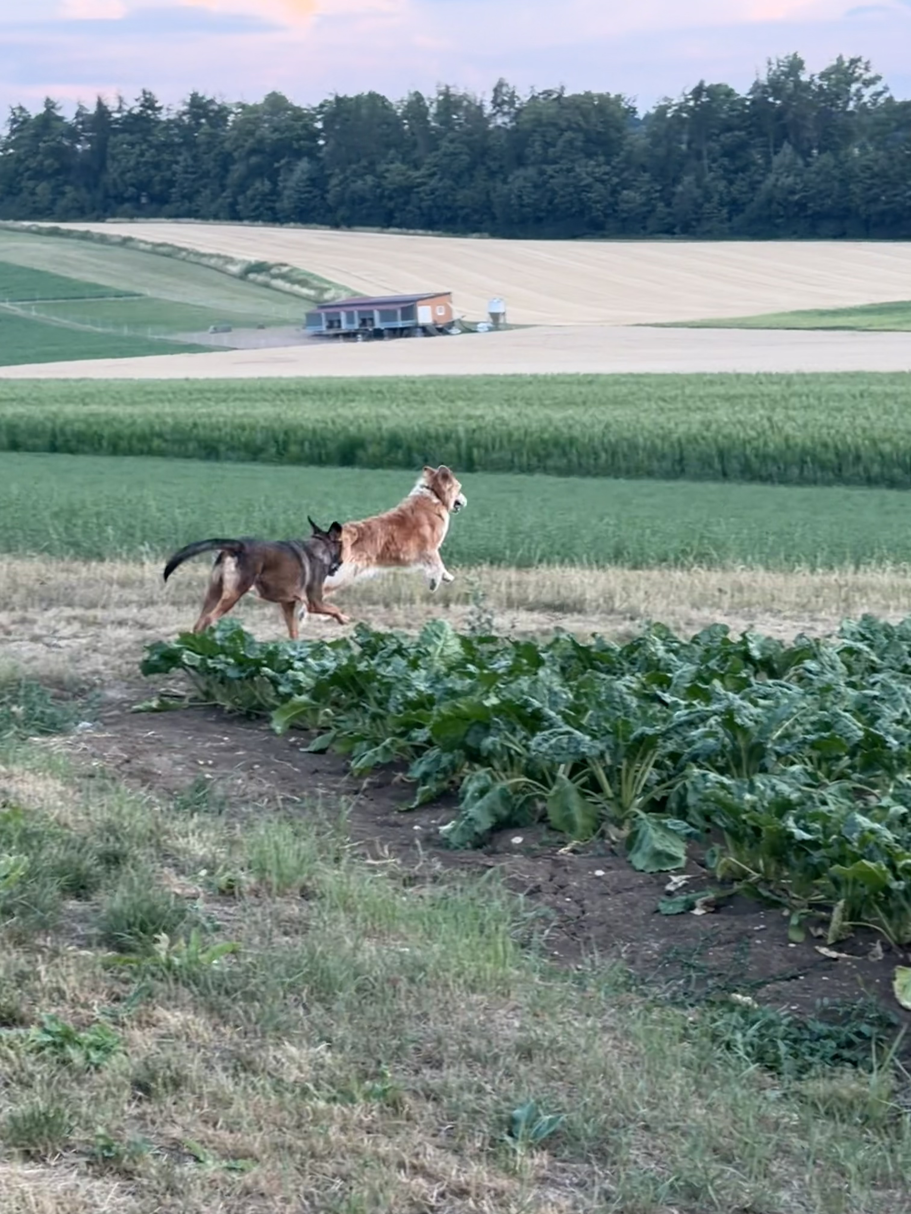 image-10