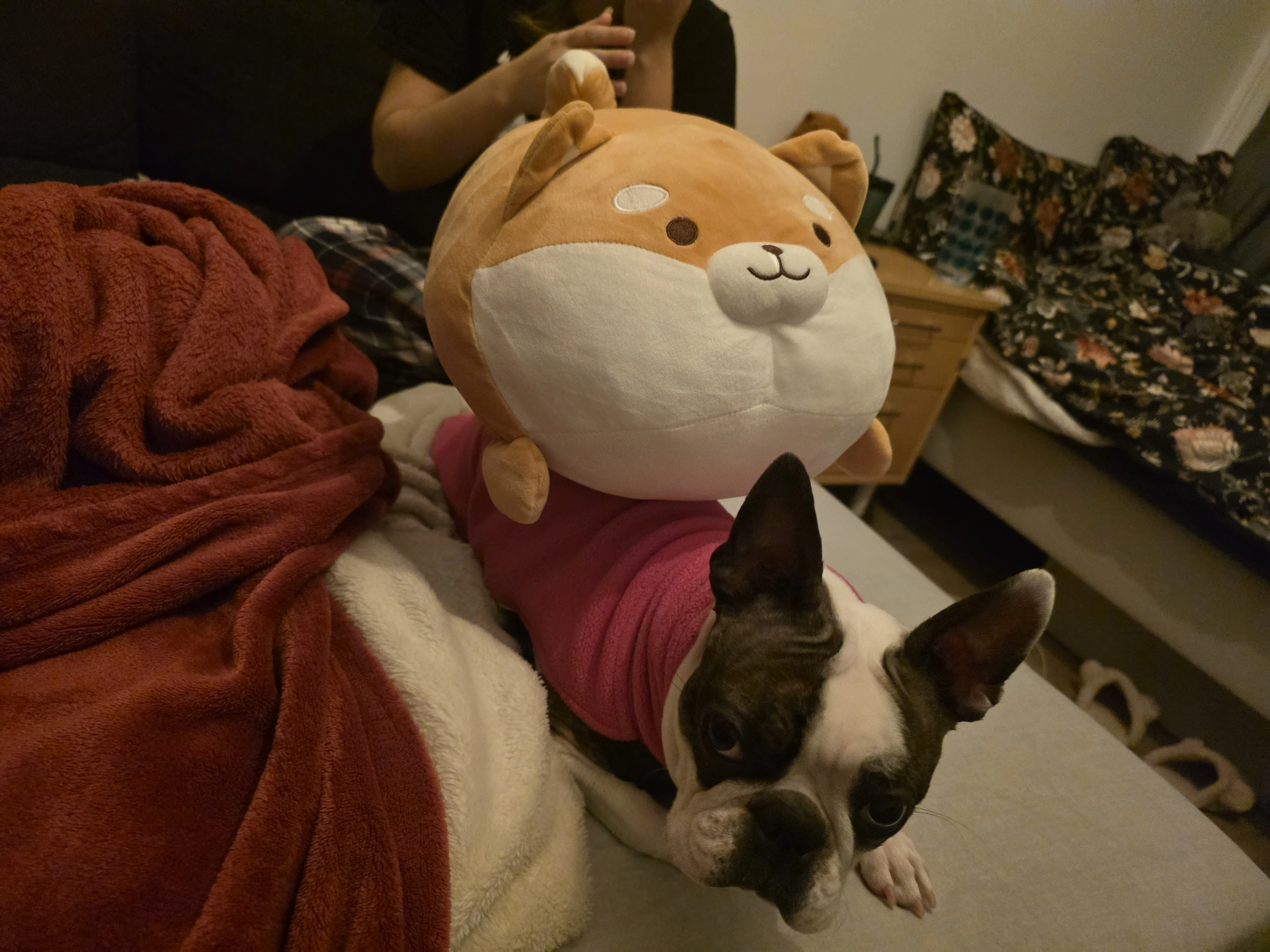 image-1
