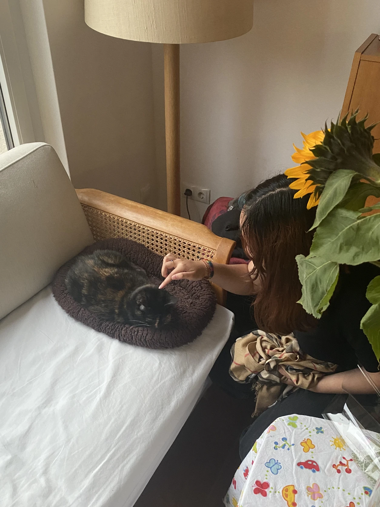 image-7