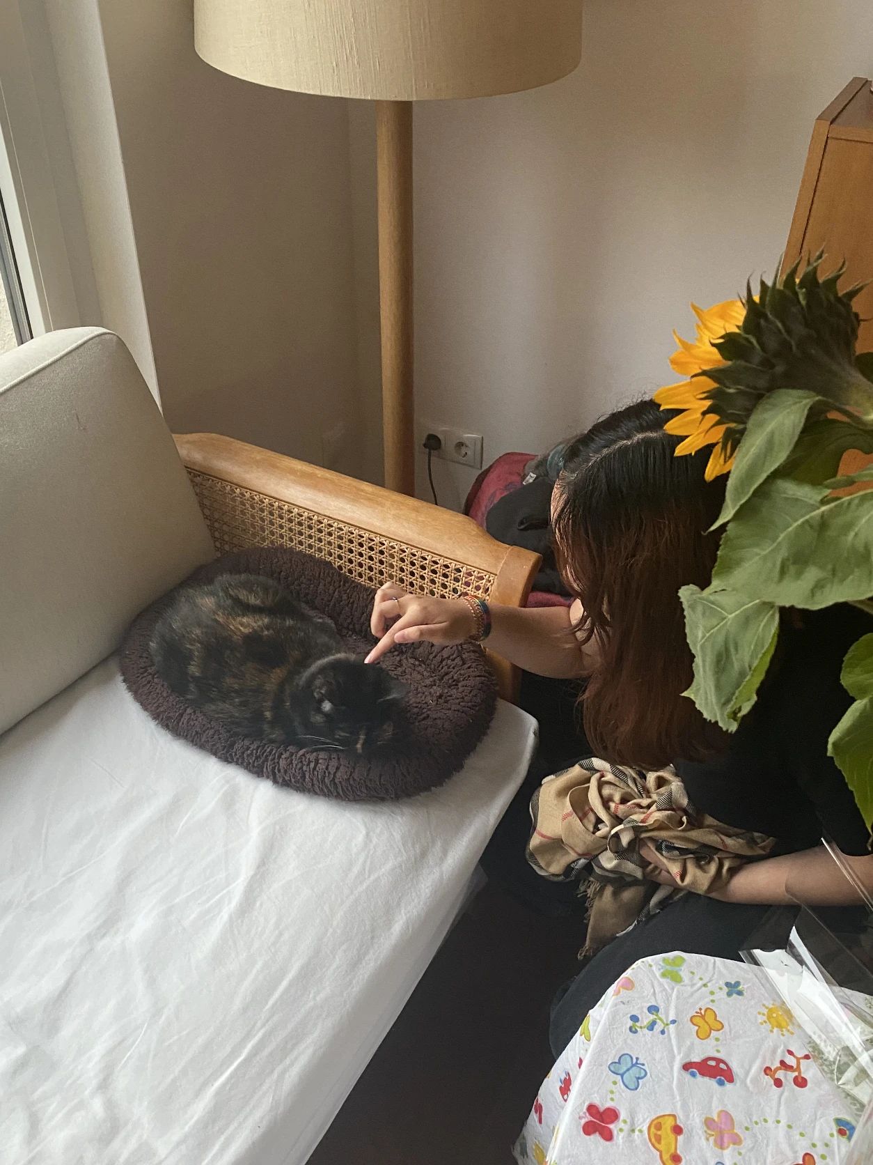 image-7