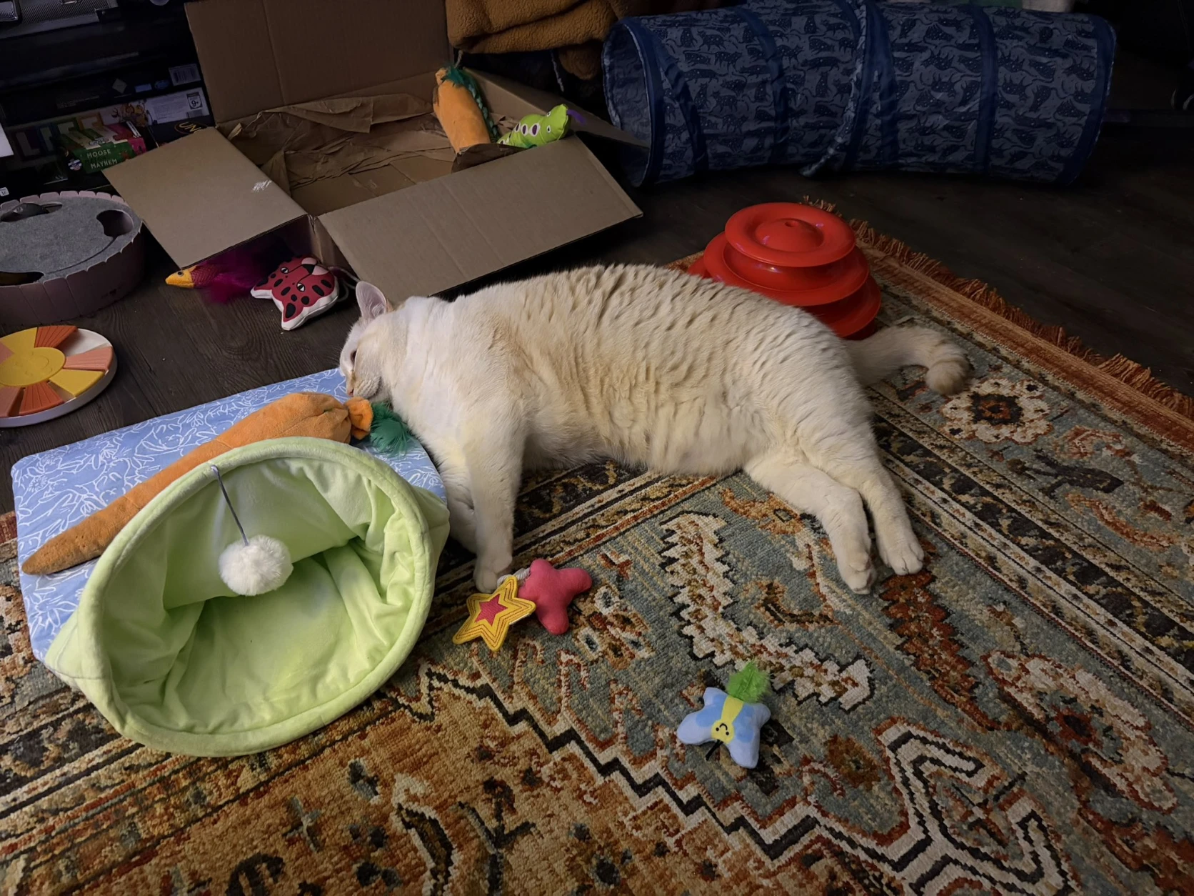 image-11