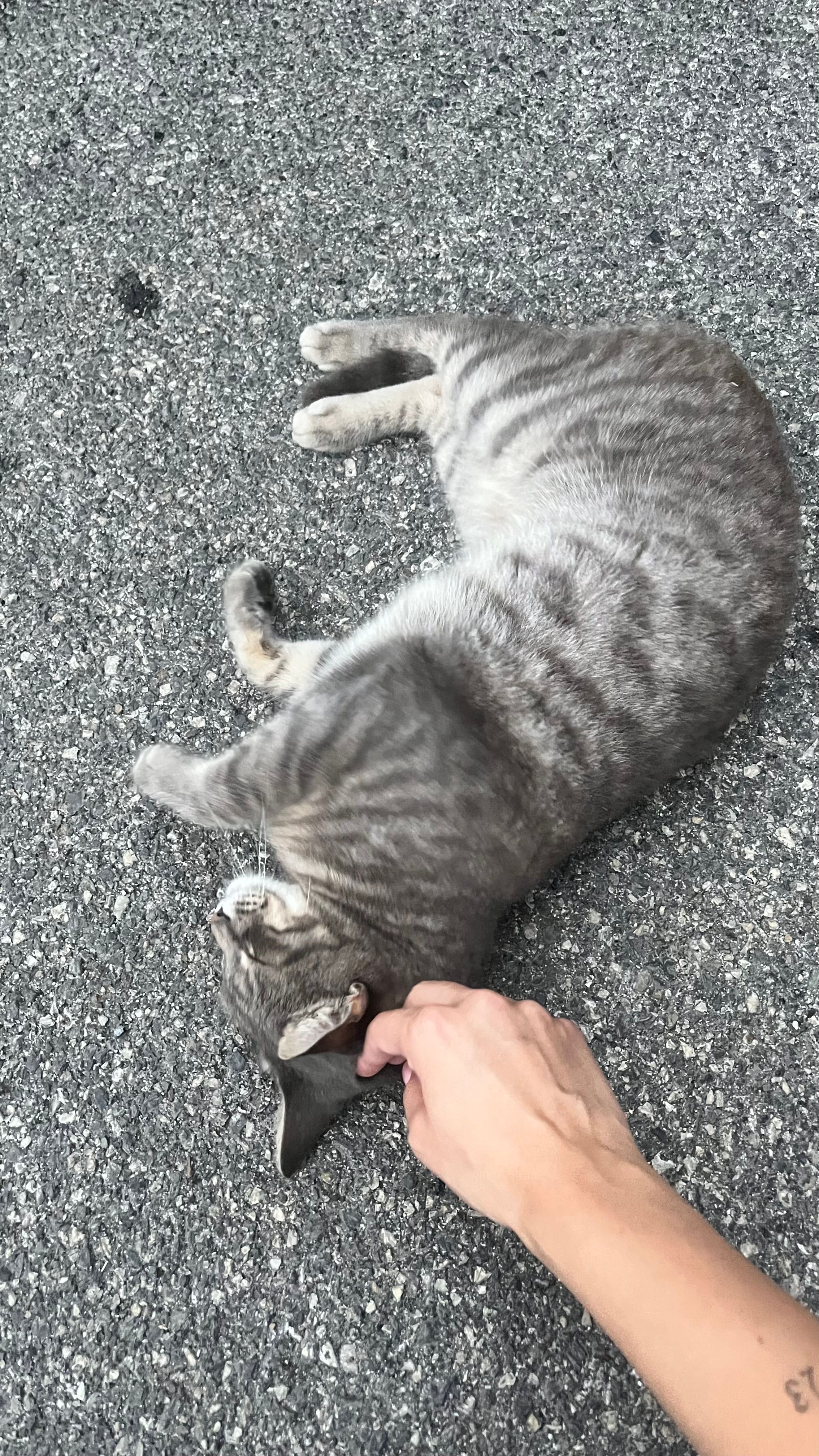 image-6