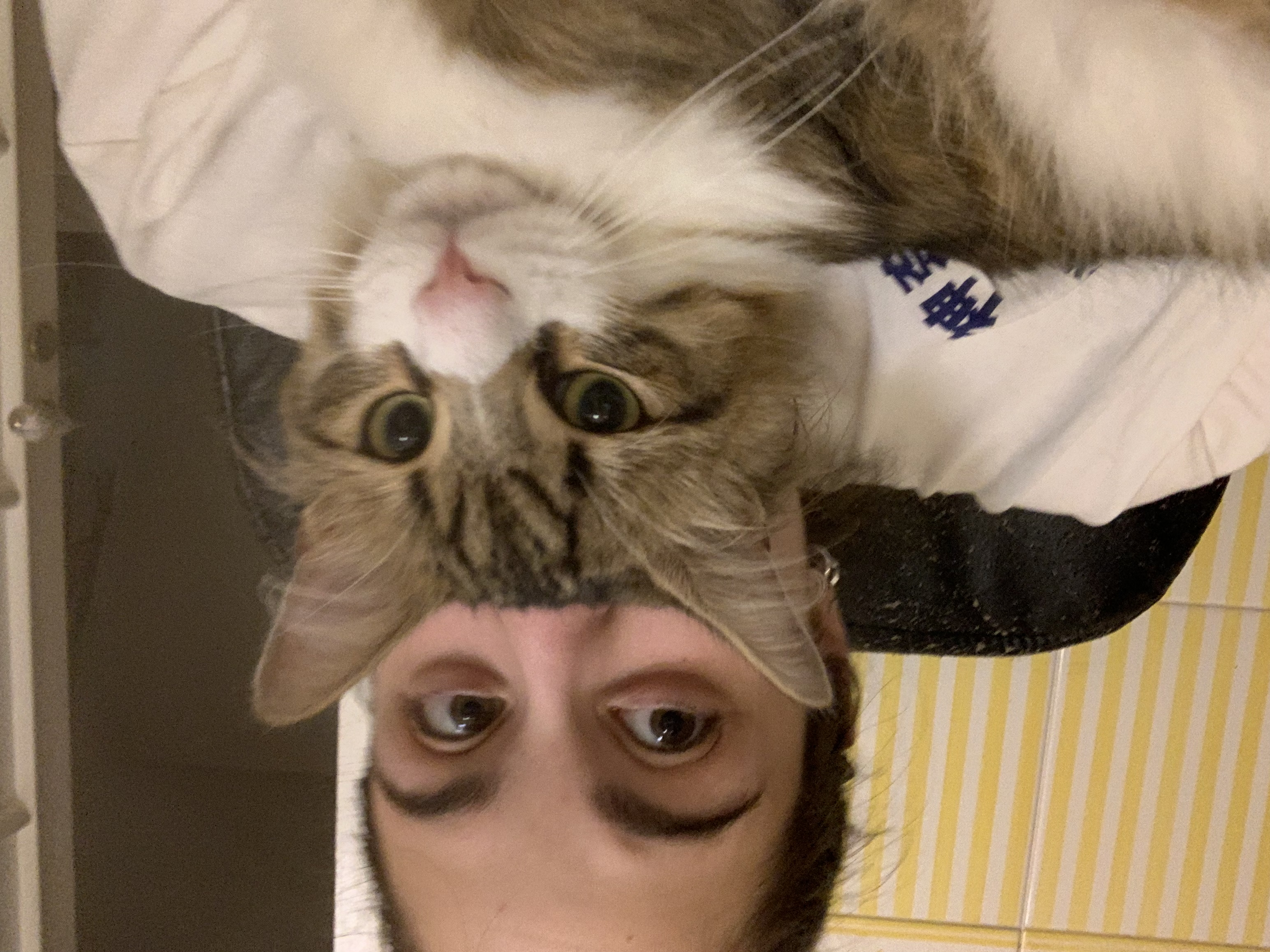 image-9