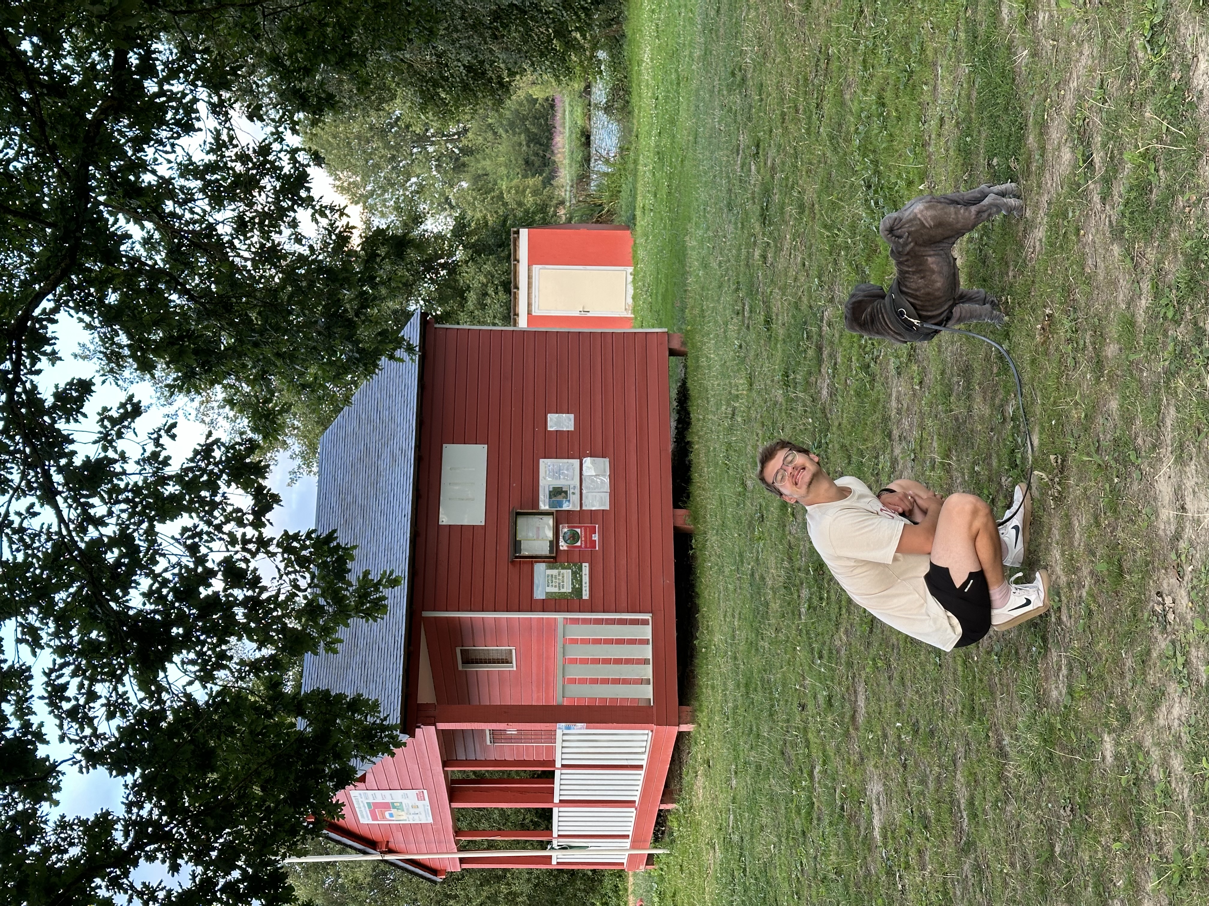 image-5