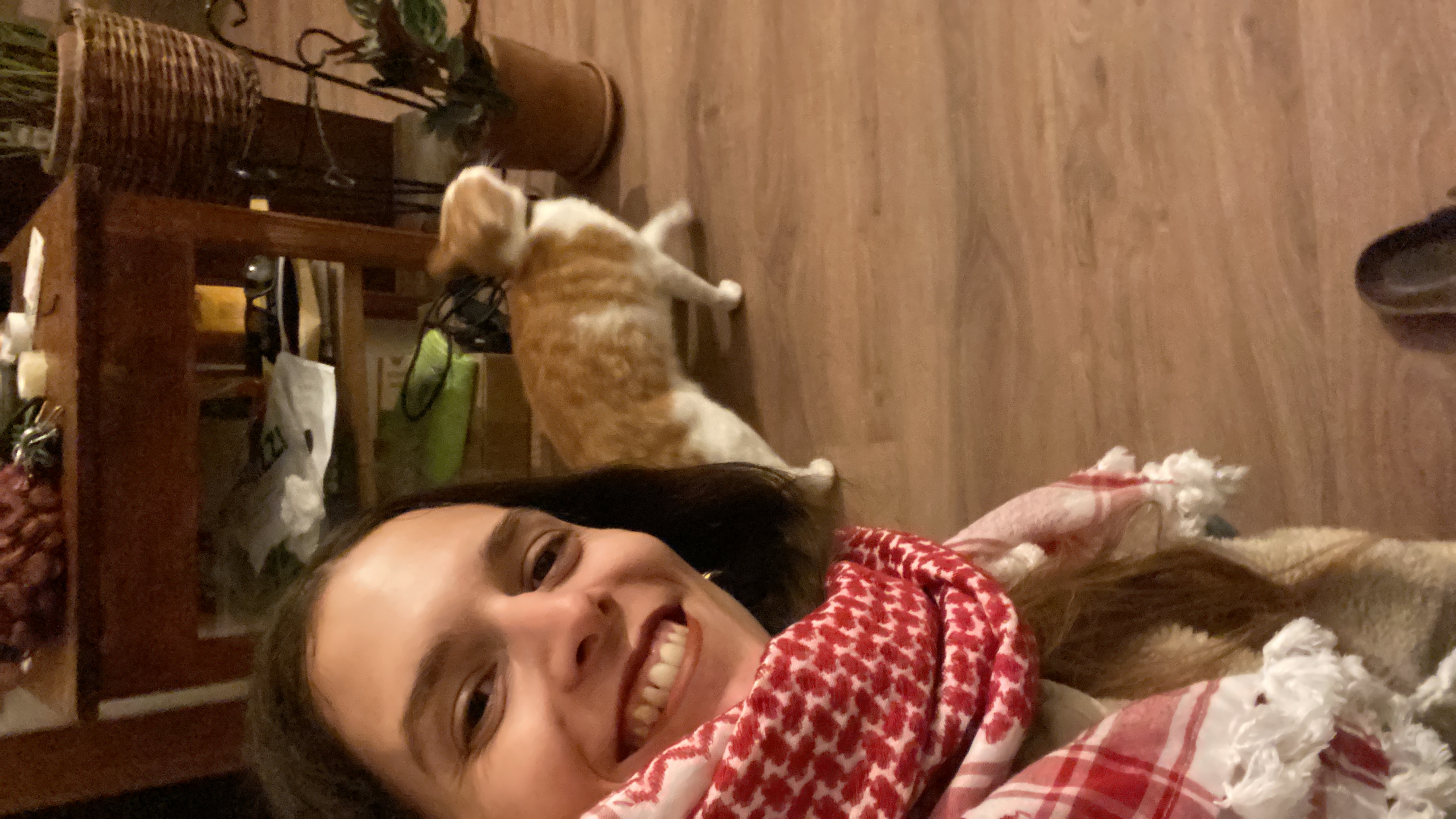 image-7