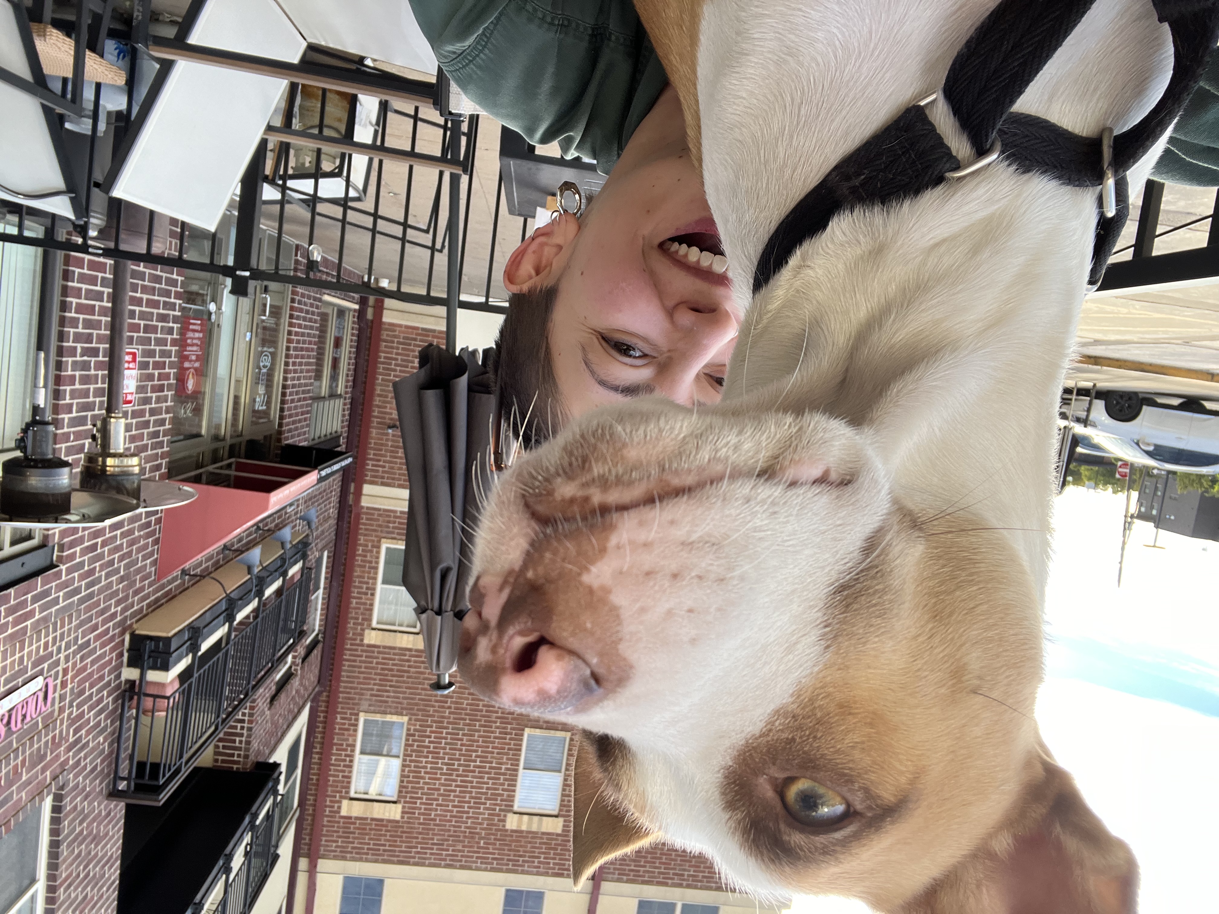 image-4