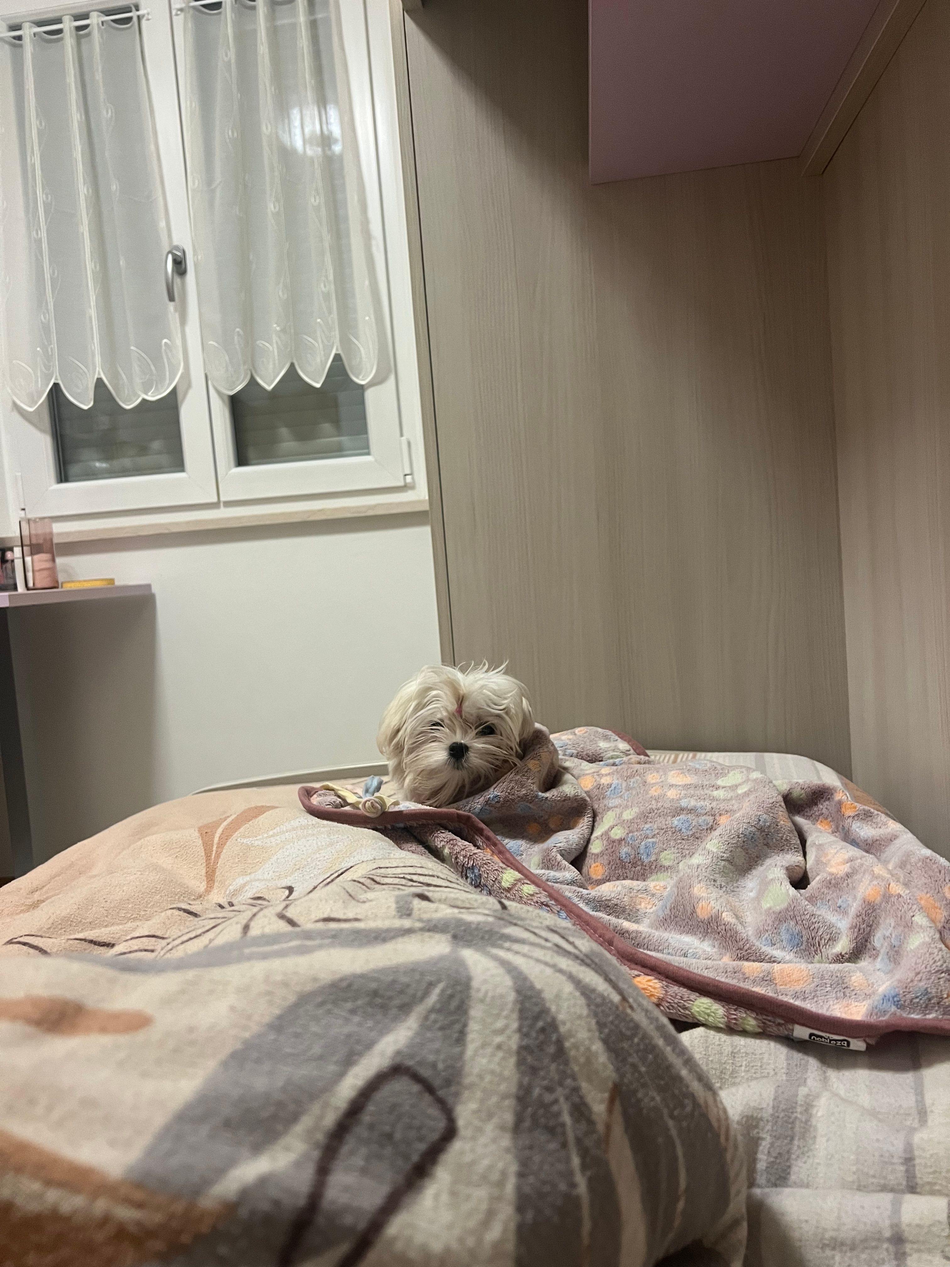 image-8