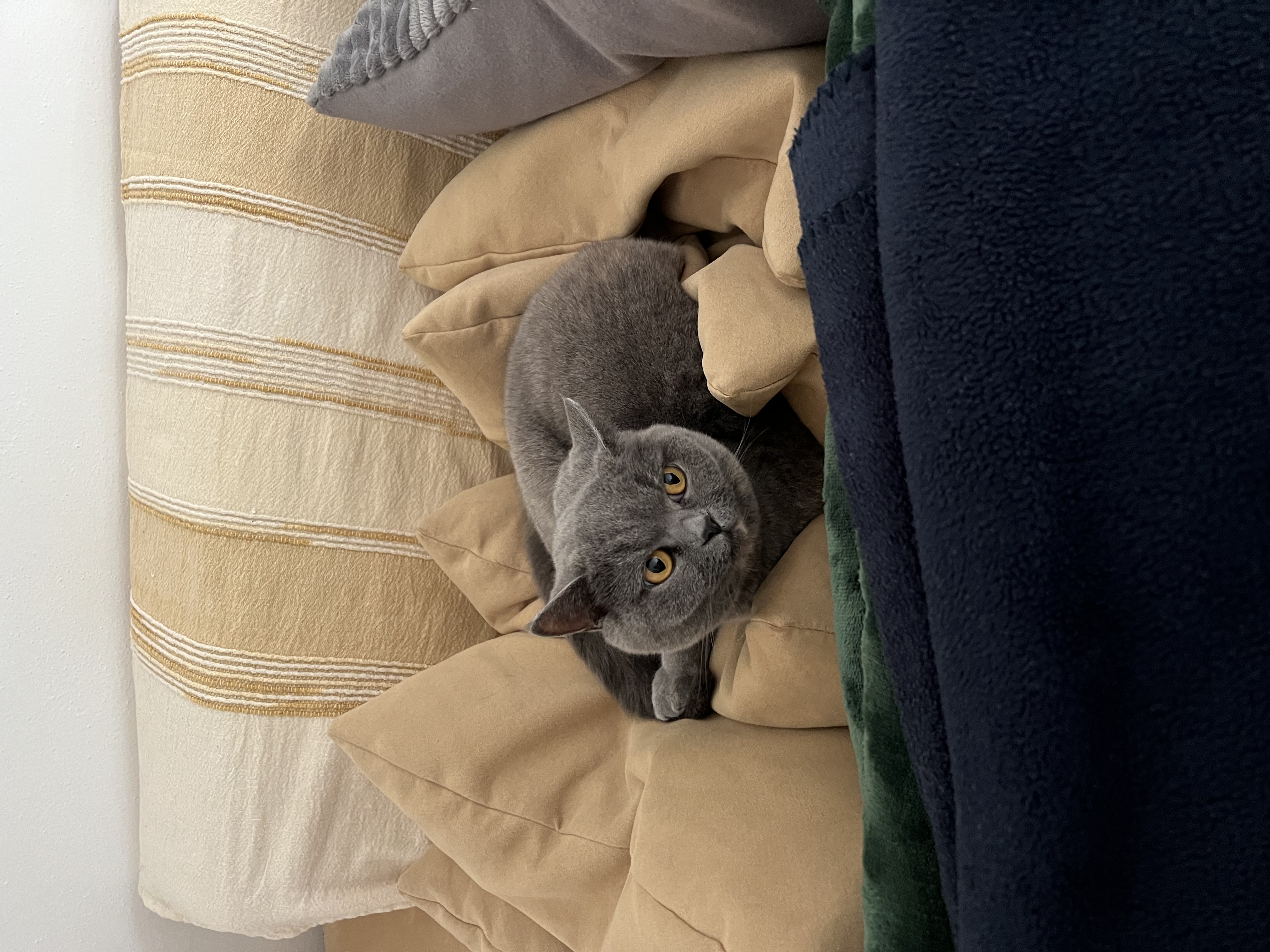 image-9