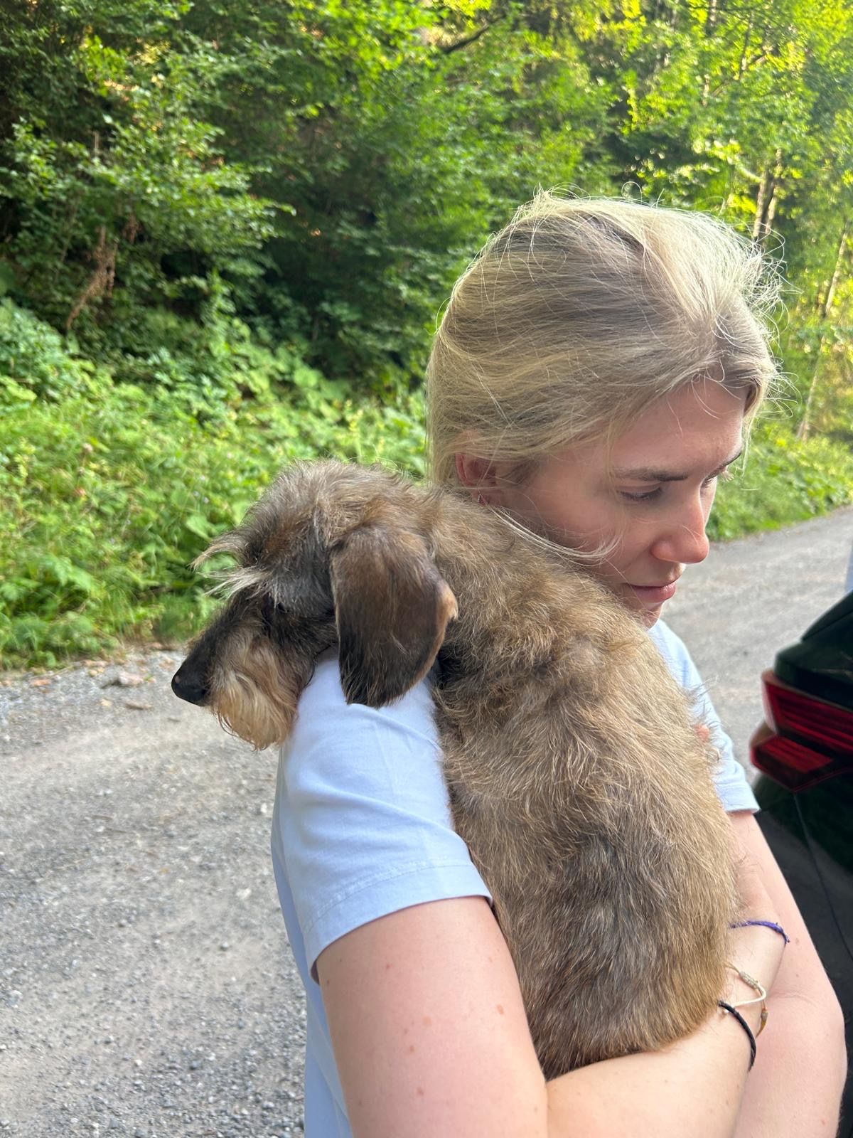 image-1