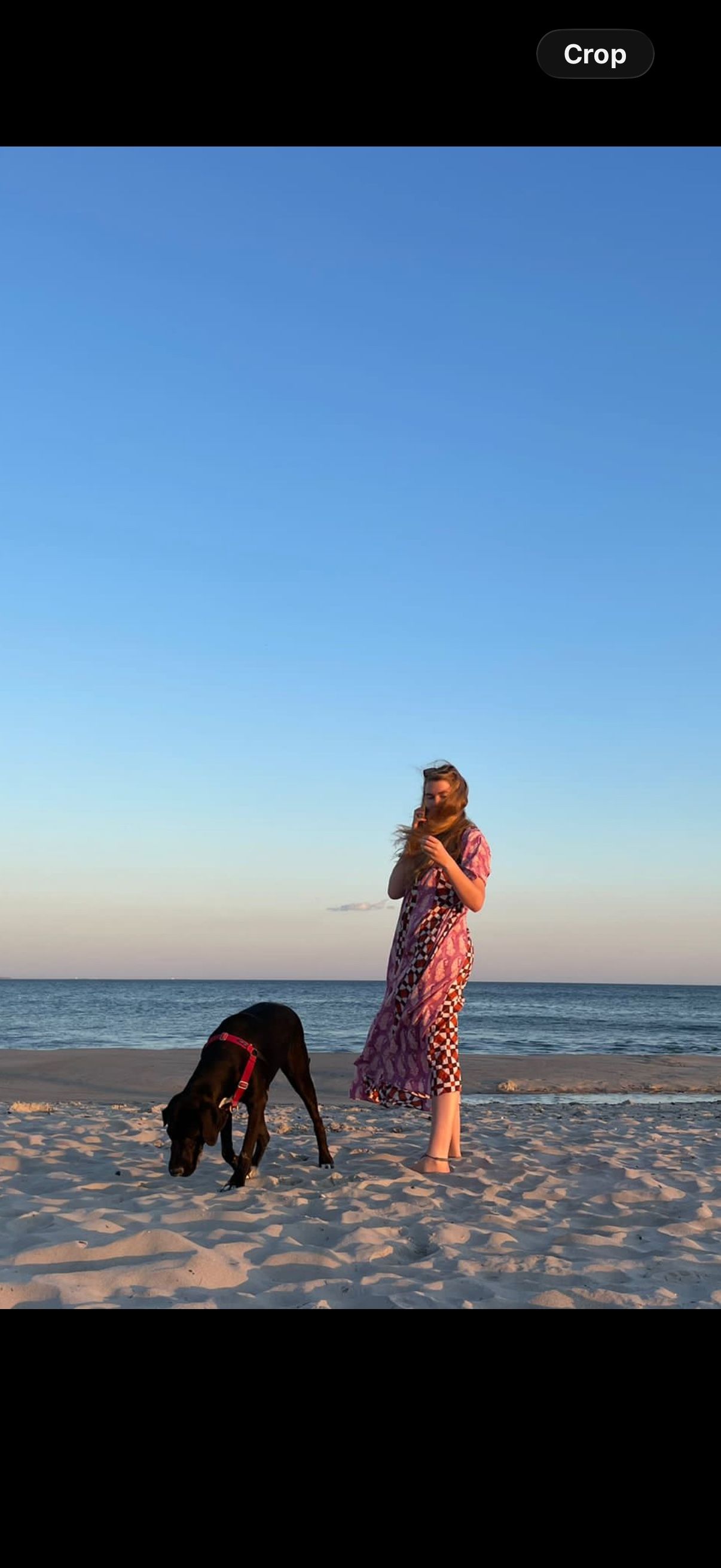 image-7