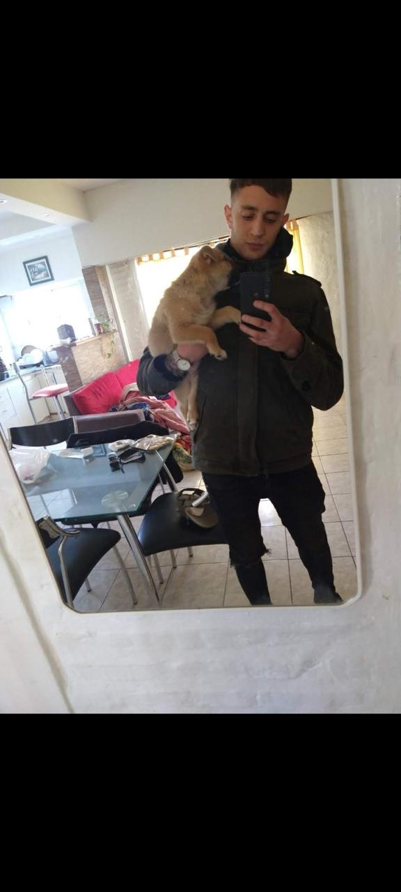 image-8