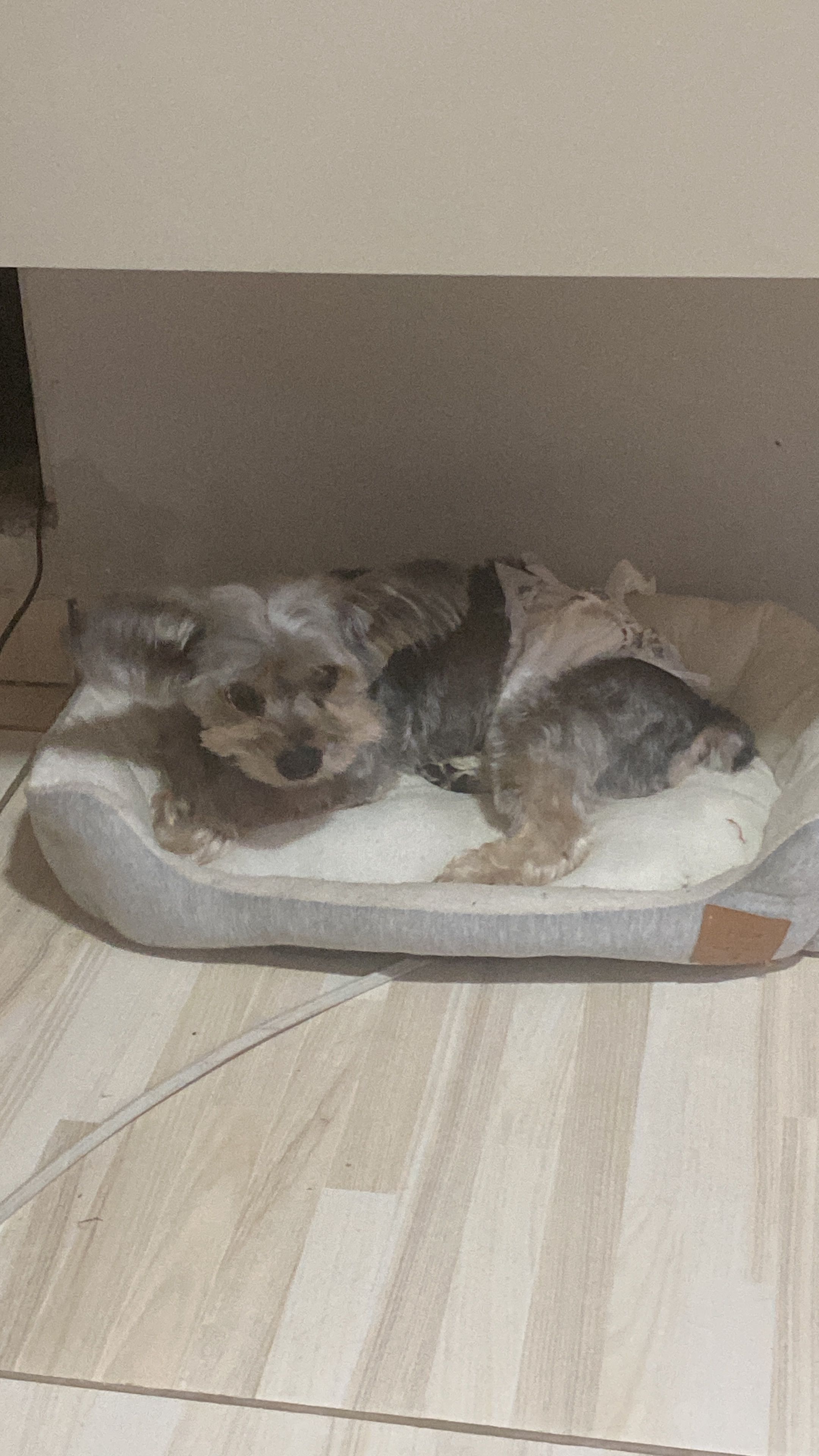 image-10