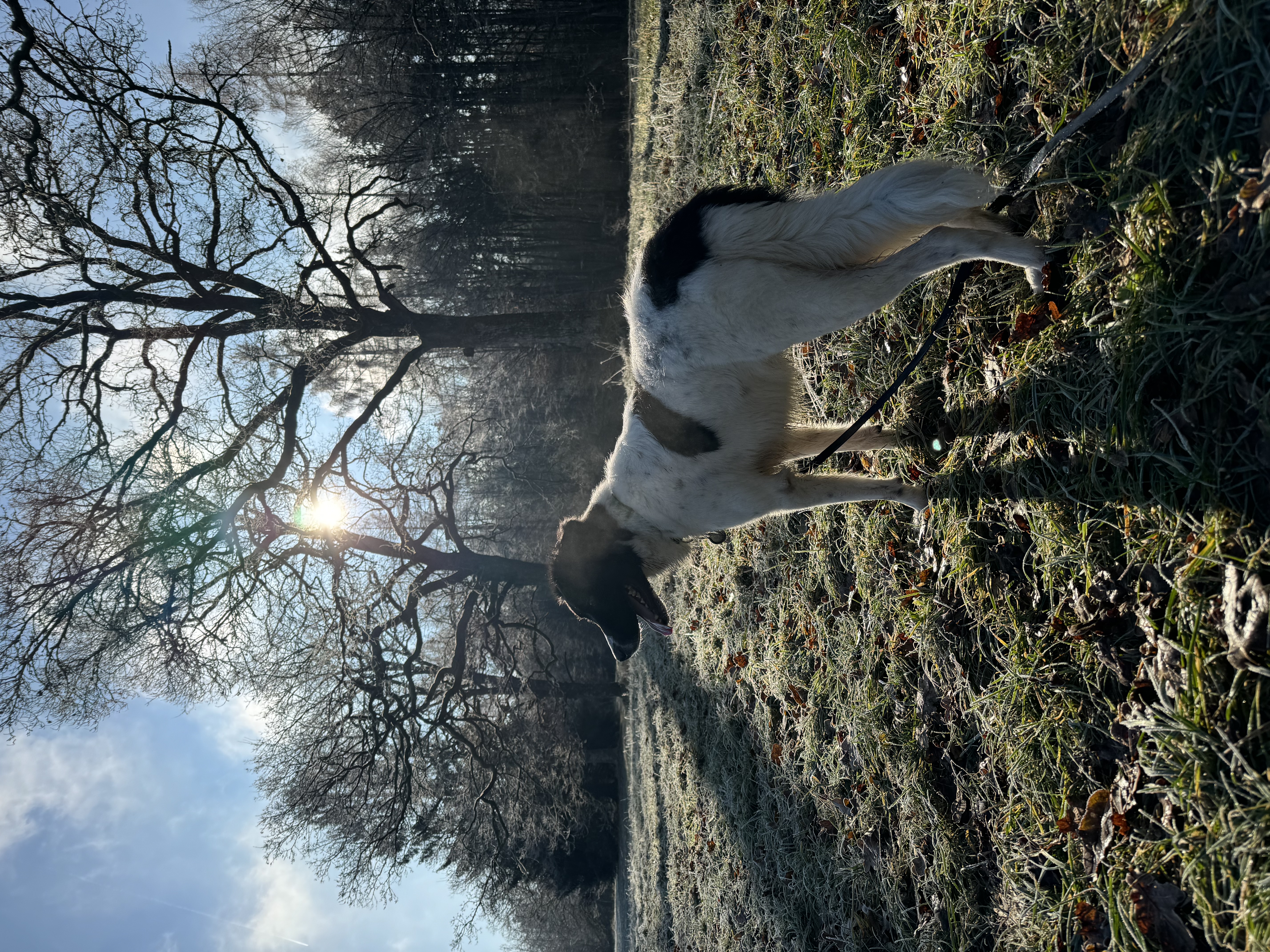 image-11