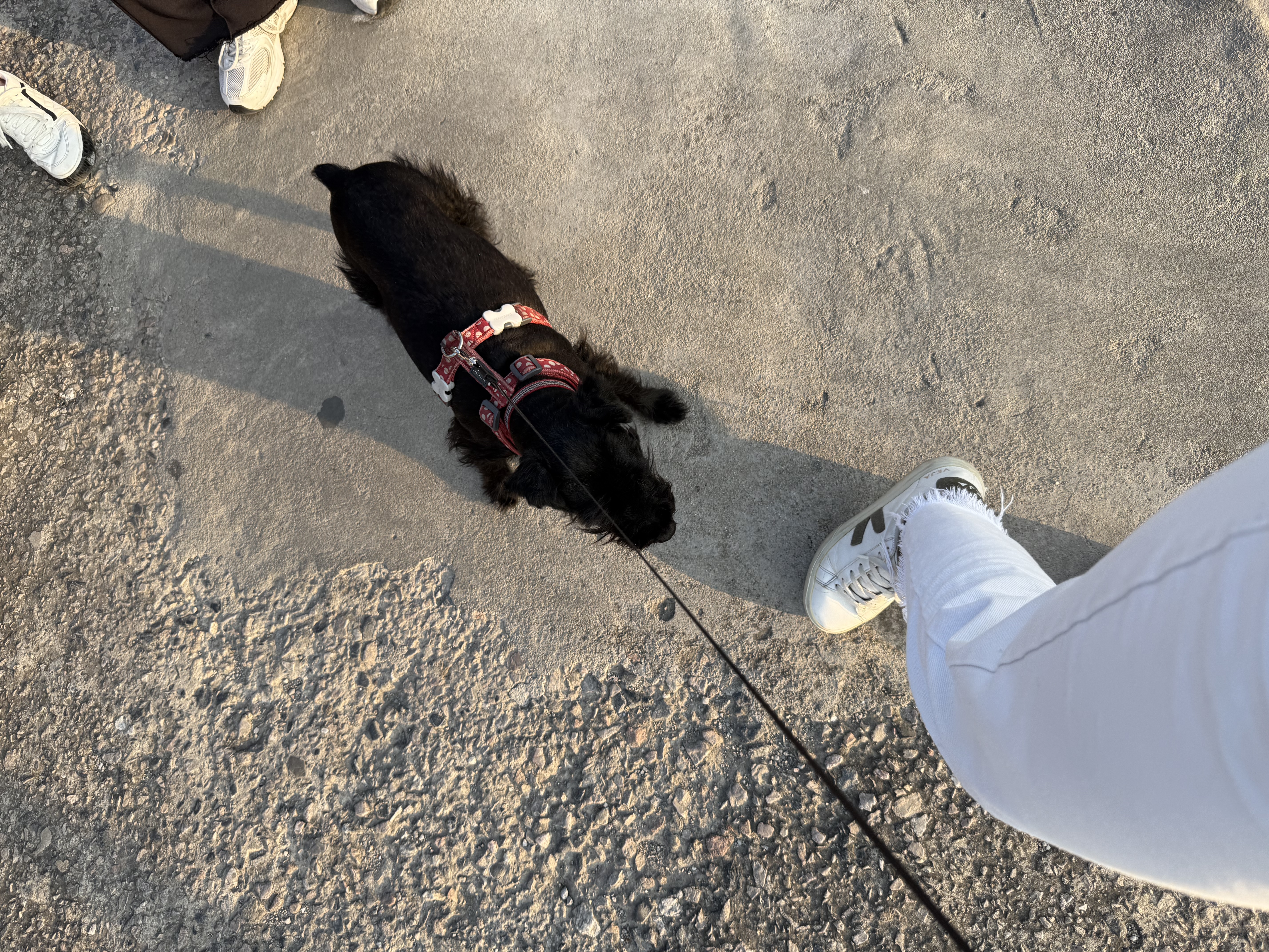 image-6