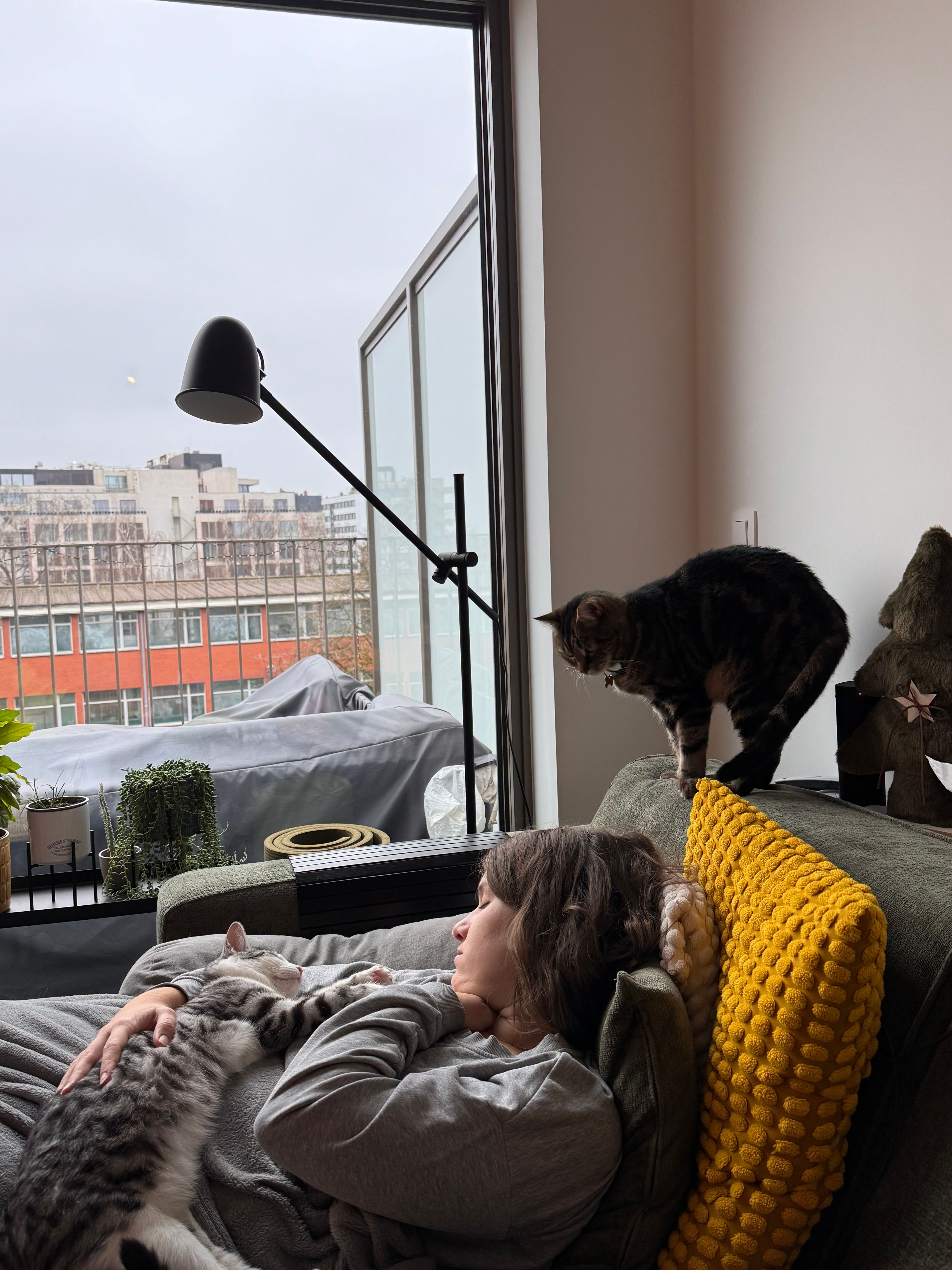 image-8