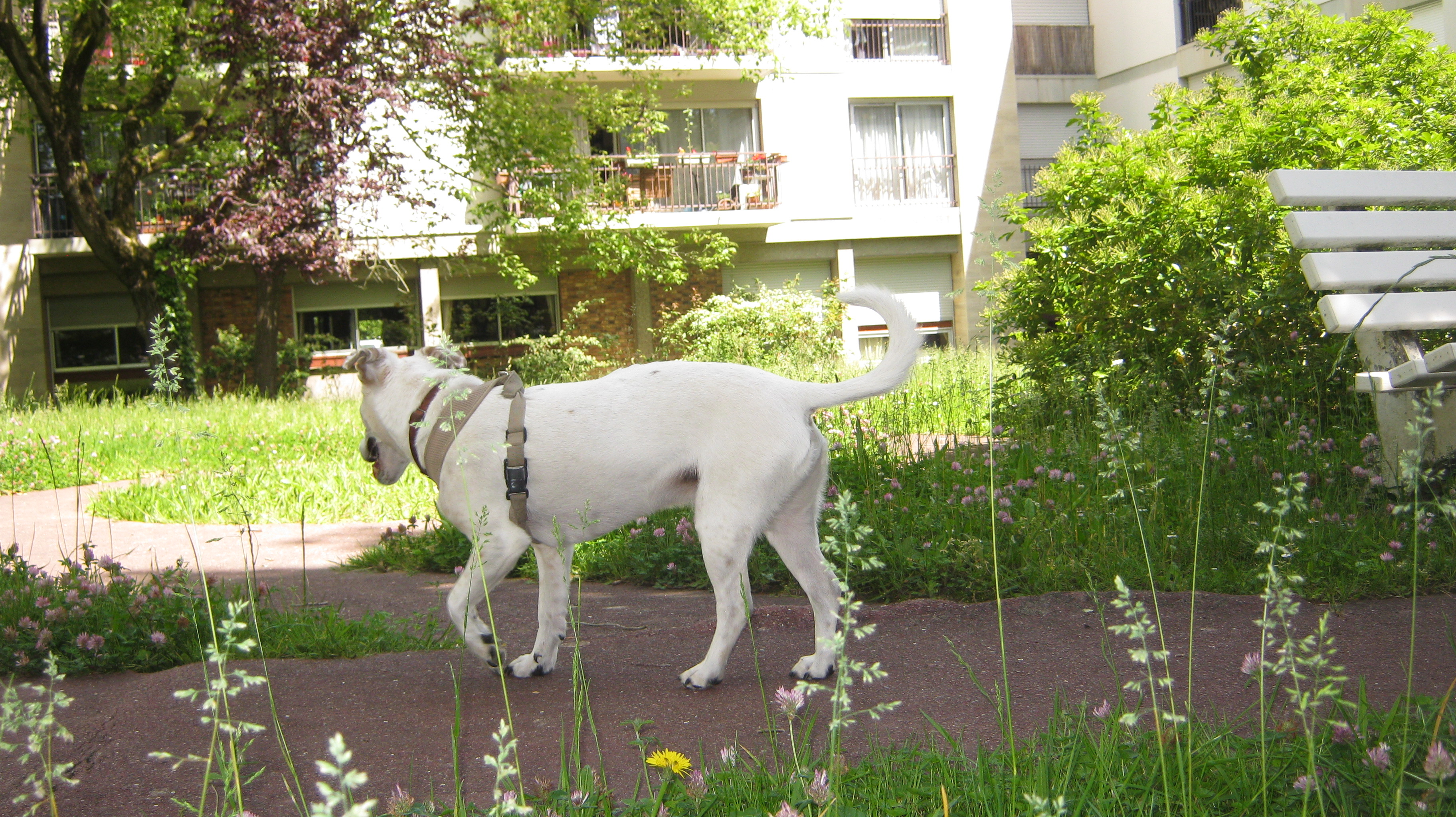 image-15