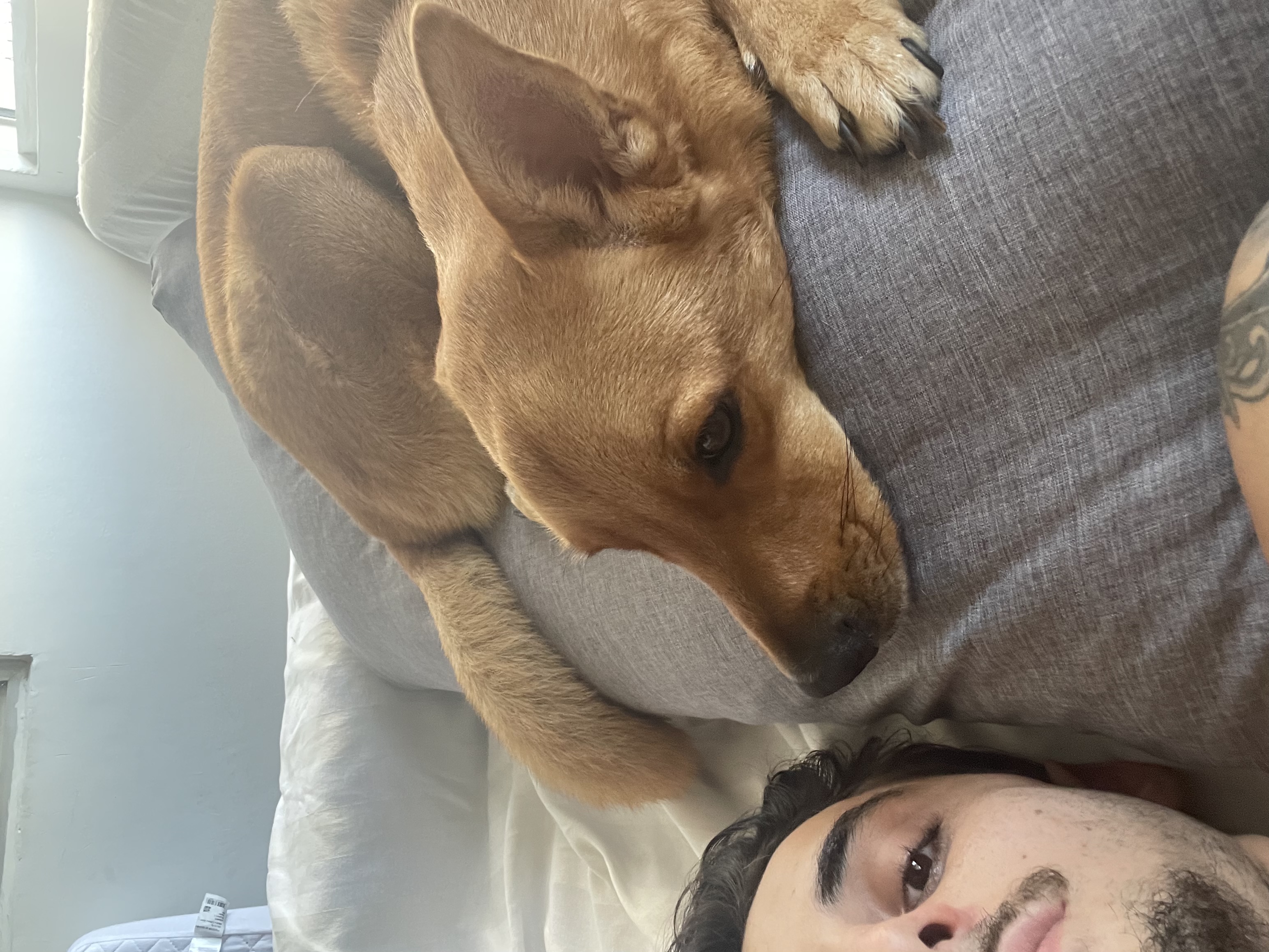 image-4