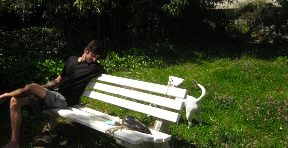 image-2