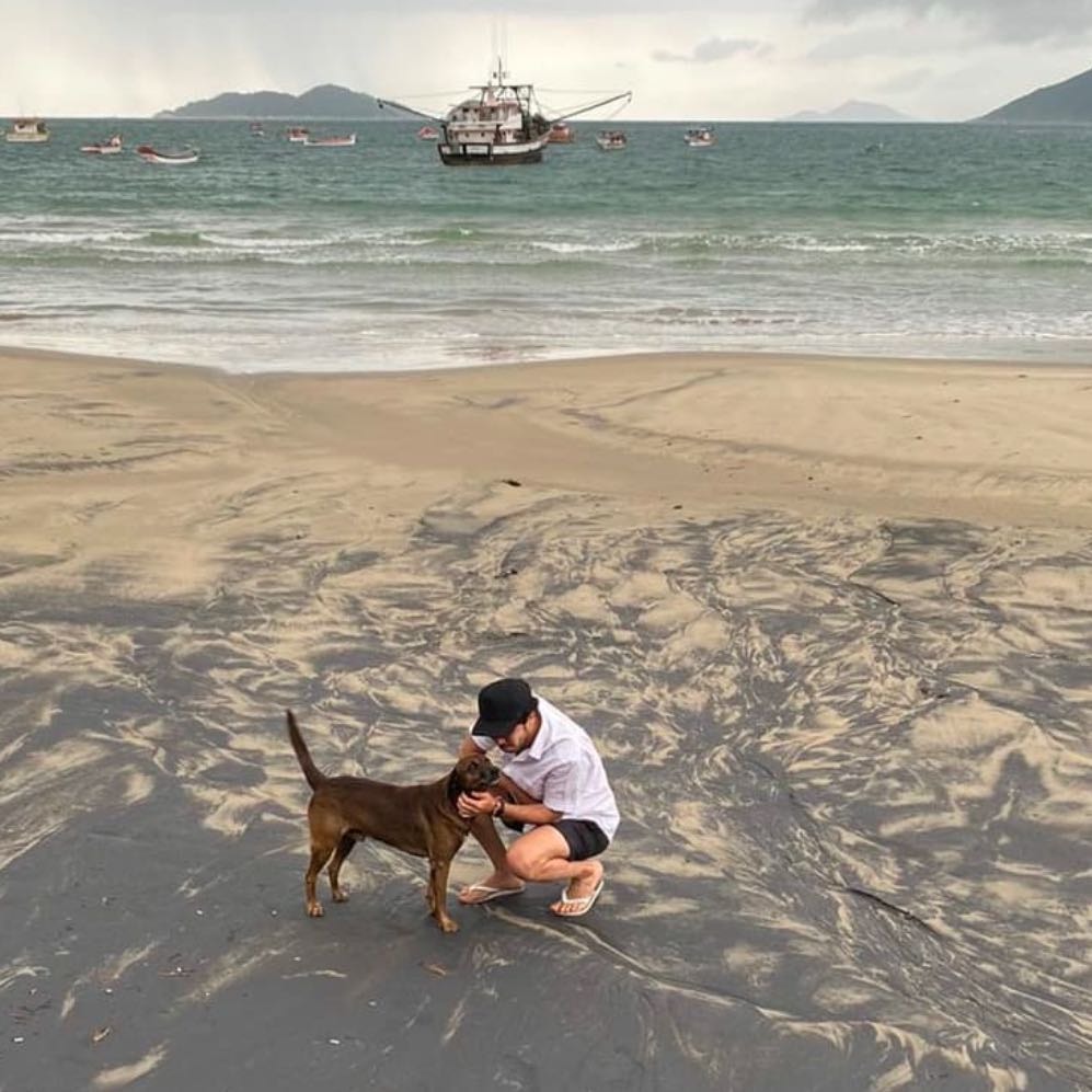street dog ( My friend) 