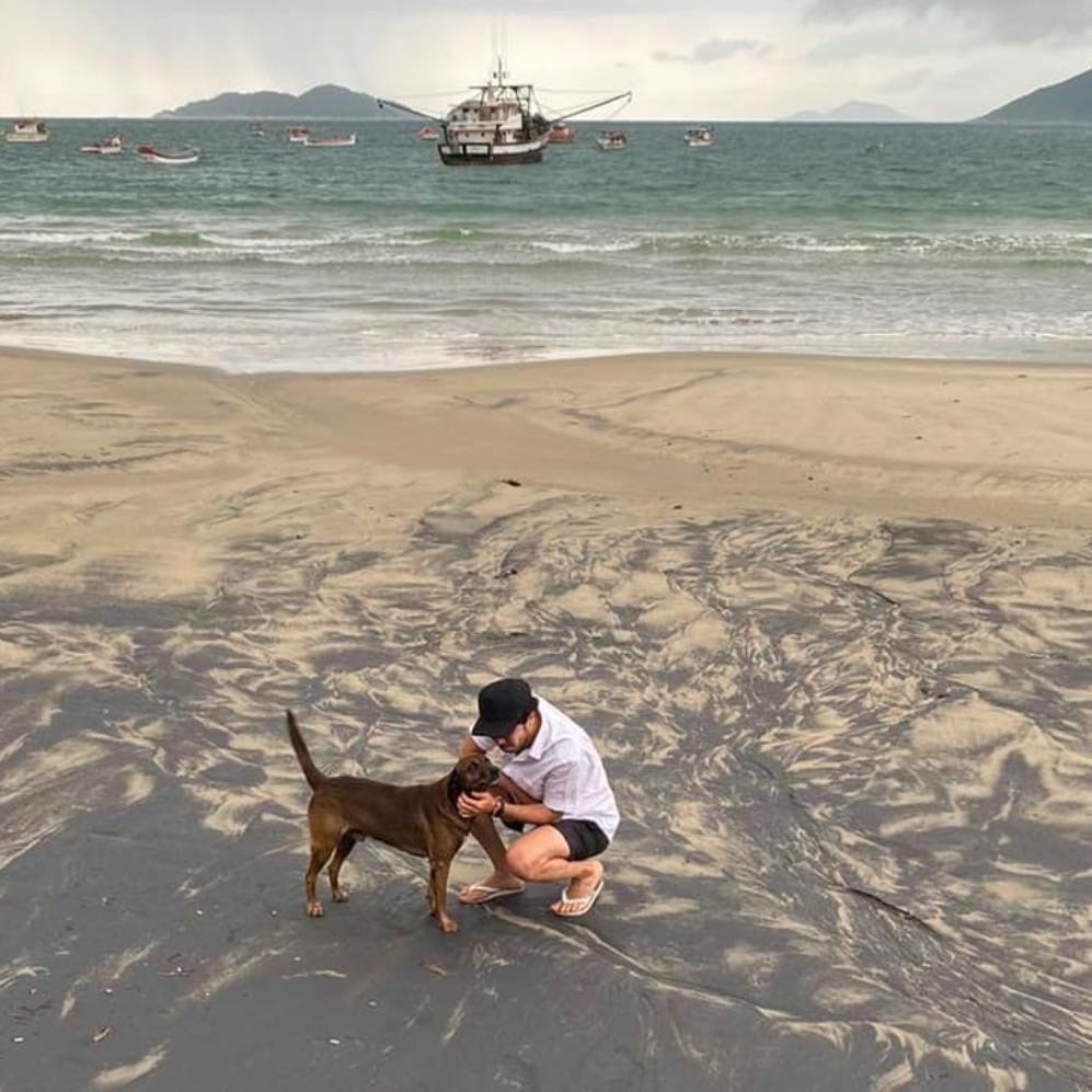 street dog ( My friend)