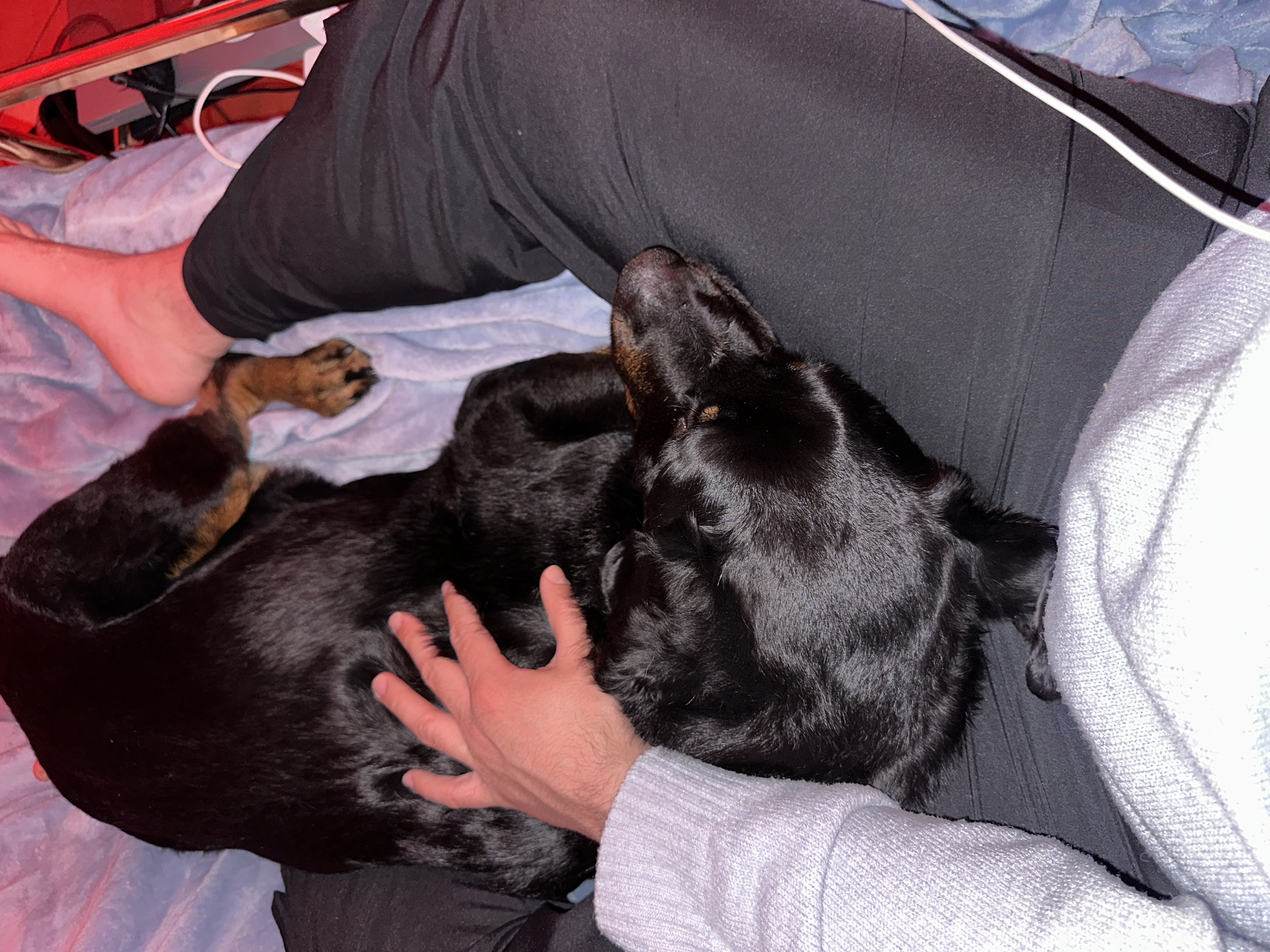 image-7