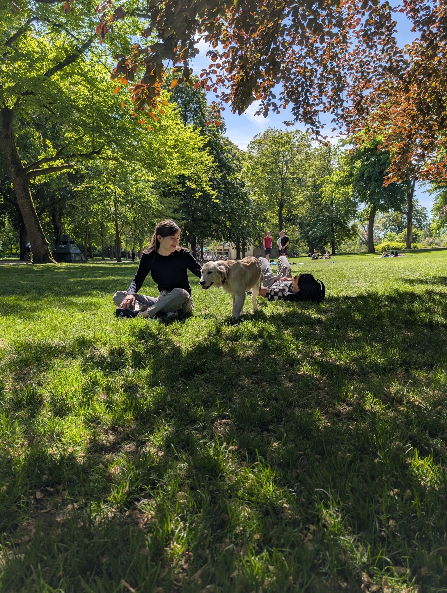 image-11