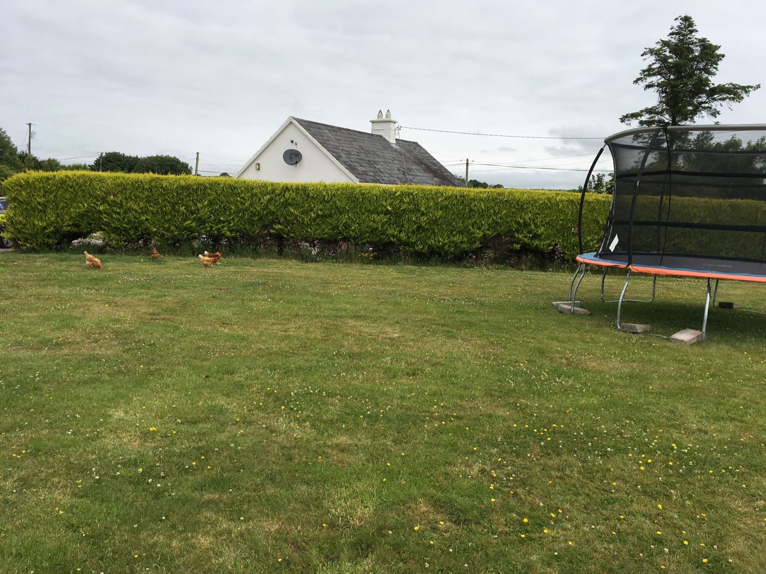 image-6