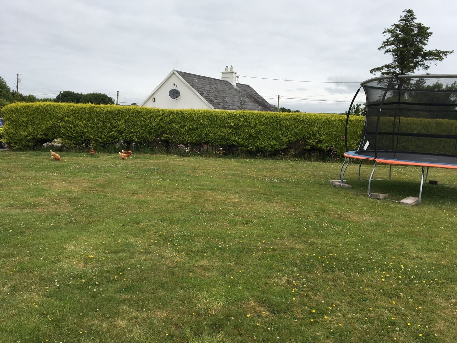 image-6